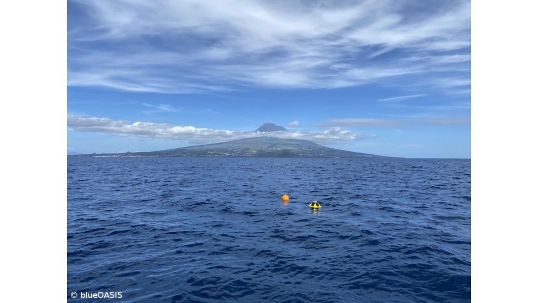 blueOASIS quer tornar os Açores no “Silicon Valley das tecnologias oceânicas” – Imagem 1