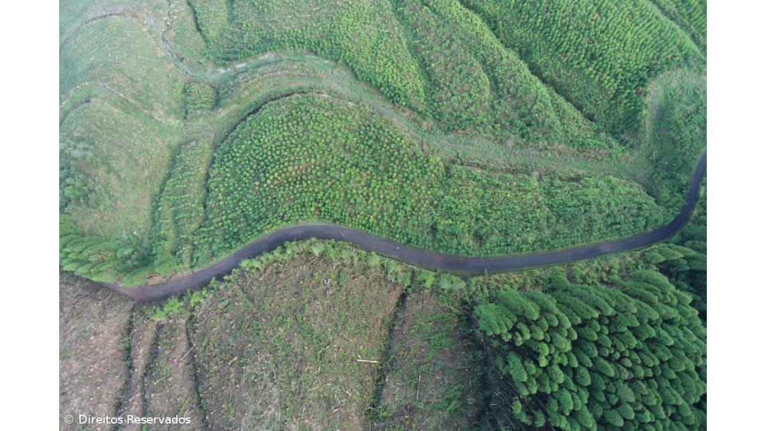 Governo utiliza drones para a conservação do ambiente