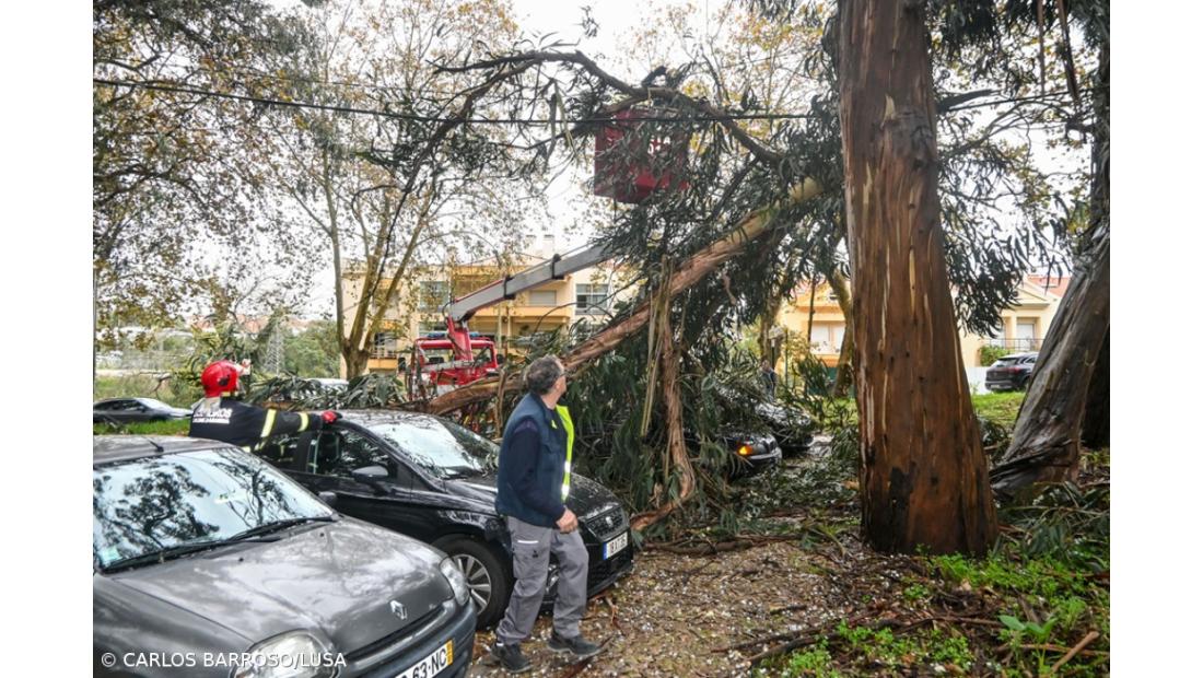 Mau tempo: Portugal continental regista 815 ocorrências até às 18:00