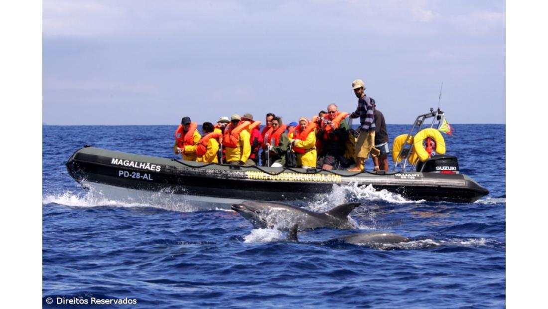 Empresários dos Açores avisam presidente do governo que salários "nunca foram tão elevados"