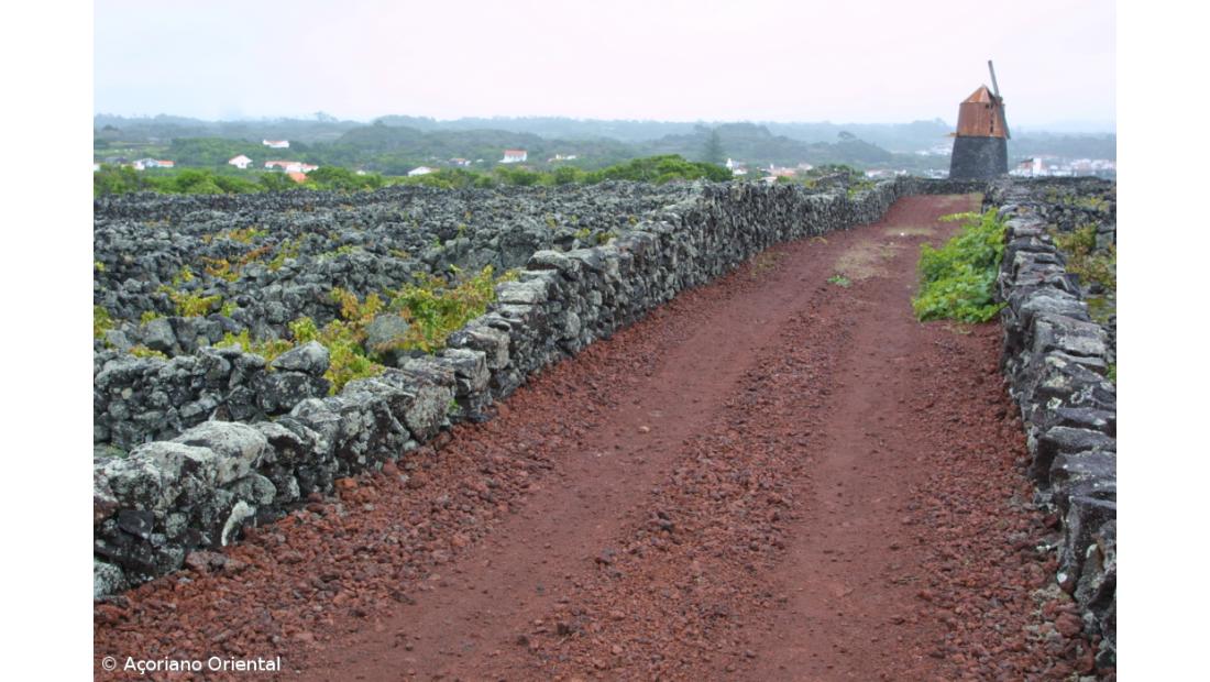 Turismo rural dos Açores sem camas disponíveis em "muitas unidades"