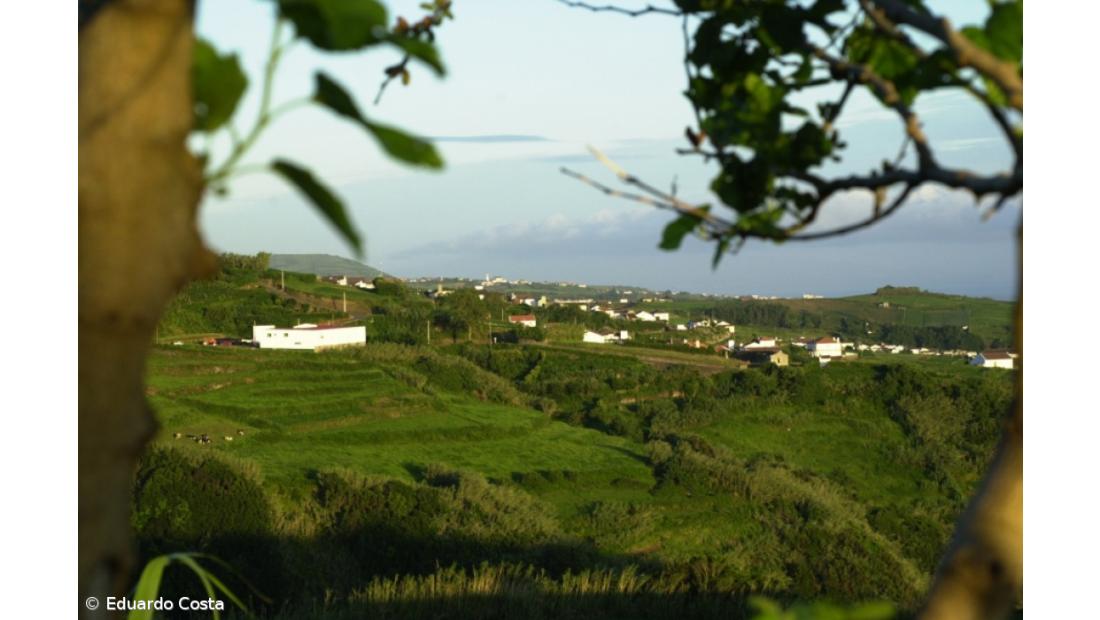 Madeira e Açores querem especificidade das ilhas acautelada na Lei dos Solos