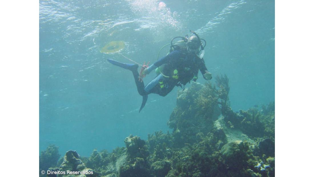 Portugueses conhecem hoje resultados dos World Travel Awards