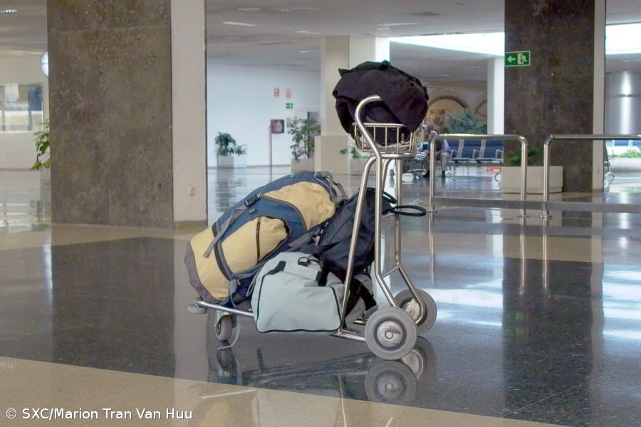Detido no aeroporto do Porto homem com seis munições na bagagem de porão – Imagem 1