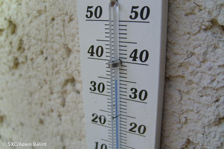 Quatro concelhos do distrito de Faro em risco máximo de incêndio – Imagem 1