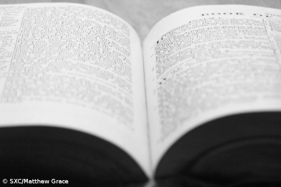 Governo brasileiro vai adiar obrigatoriedade do Acordo Ortográfico para 2016 – Imagem 1