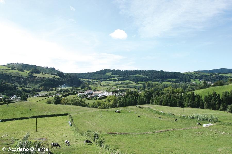 Açores enfrentam vários desafios económicos  – Imagem 1