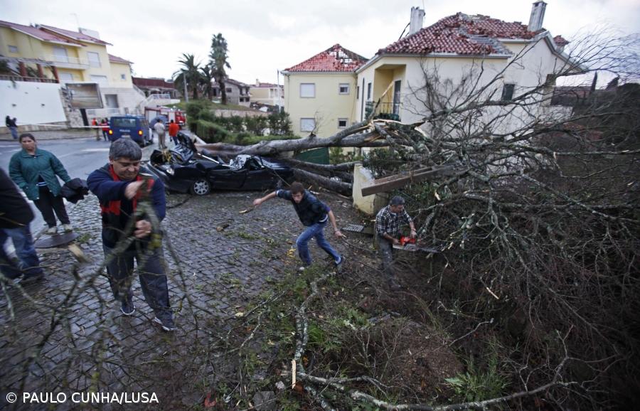 IM admite tornado em Tomar e Ferreira do Zêzere – Imagem 1