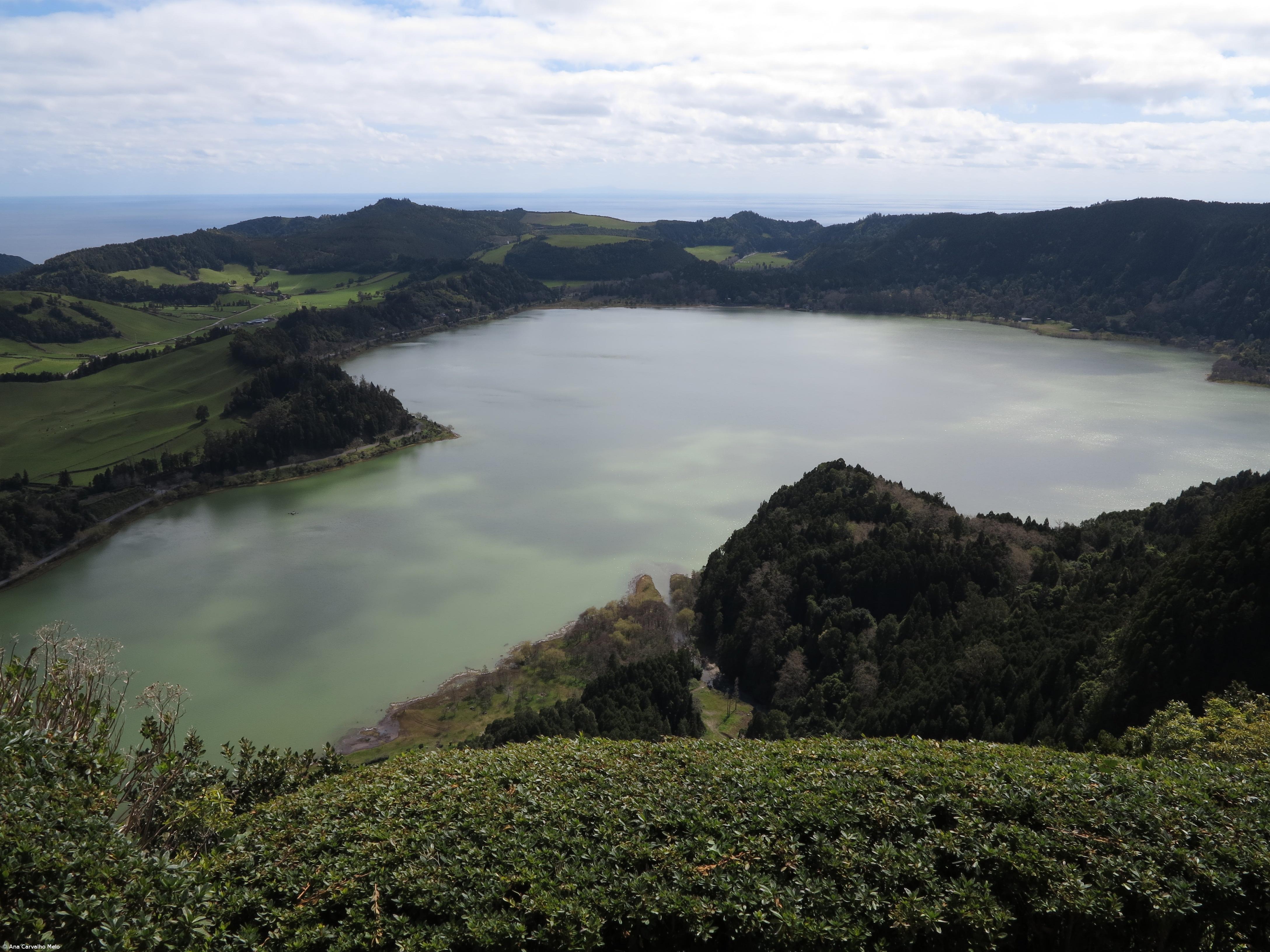 Ambiente necessita de regulação e de fiscalização “credíveis", dizem ambientalistas – Imagem 1