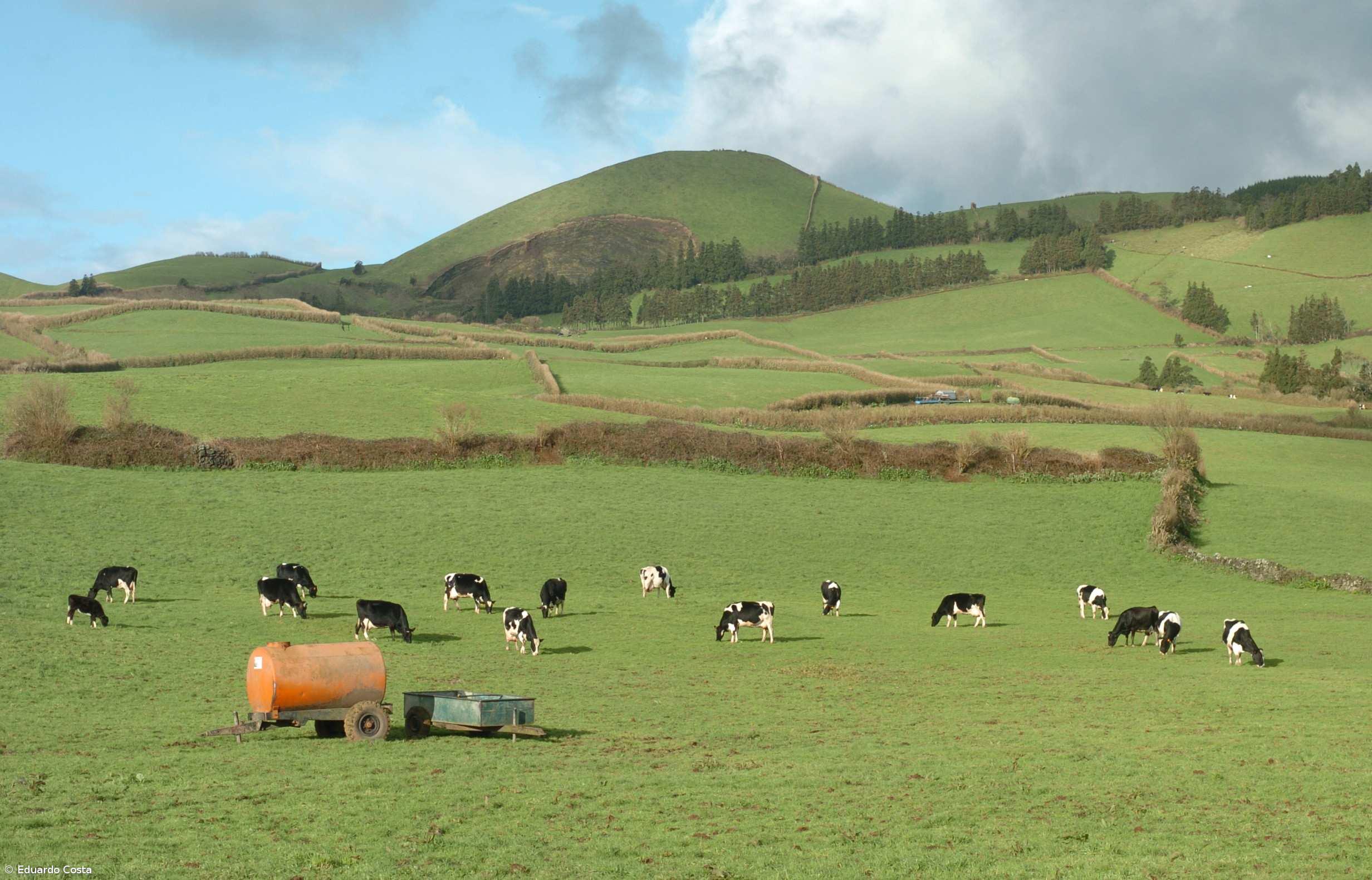 GAL passam a poder candidatar-se a projetos de cooperação interterritorial e transnacional – Imagem 1