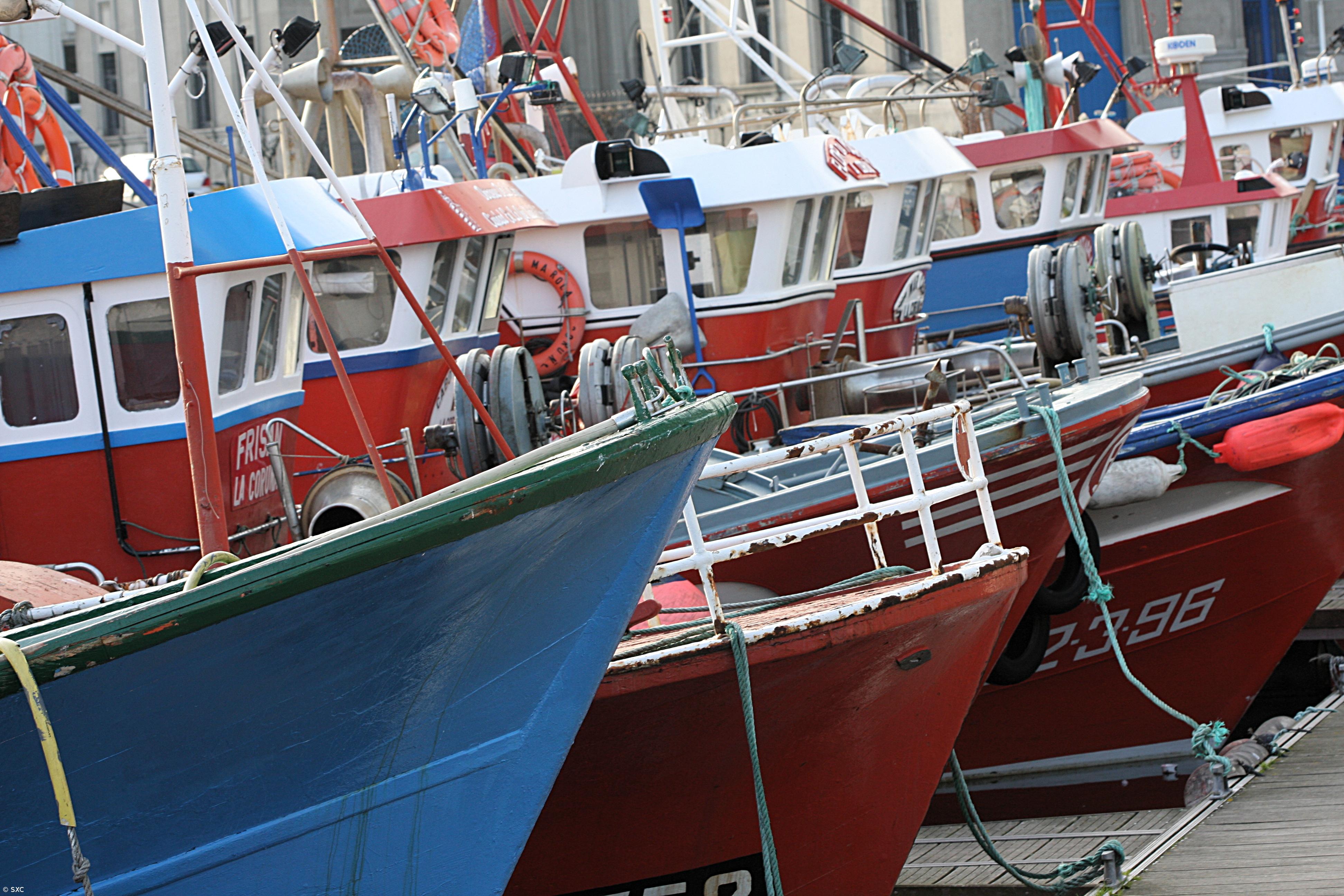 Governo dos Açores discorda de proposta de regulamento europeu sobre pescas  – Imagem 1