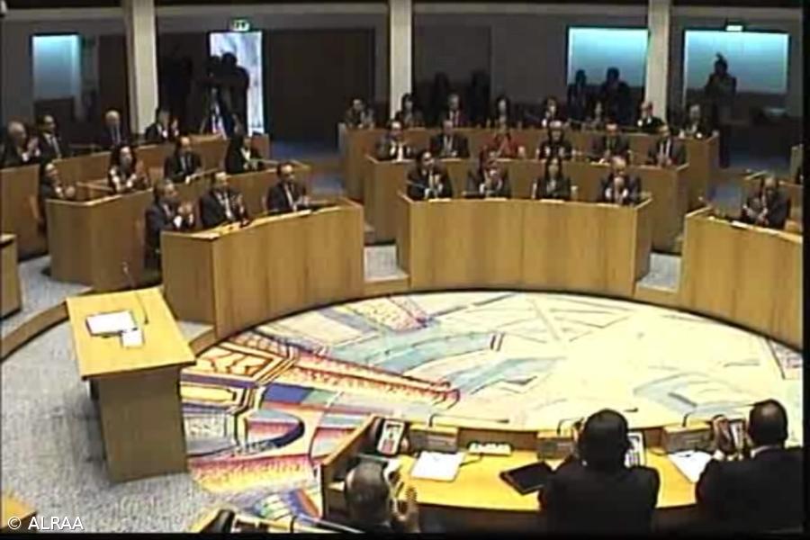 Aprovada proibição de abate de animais errantes nos Açores que entra em vigor em 2022 – Imagem 1