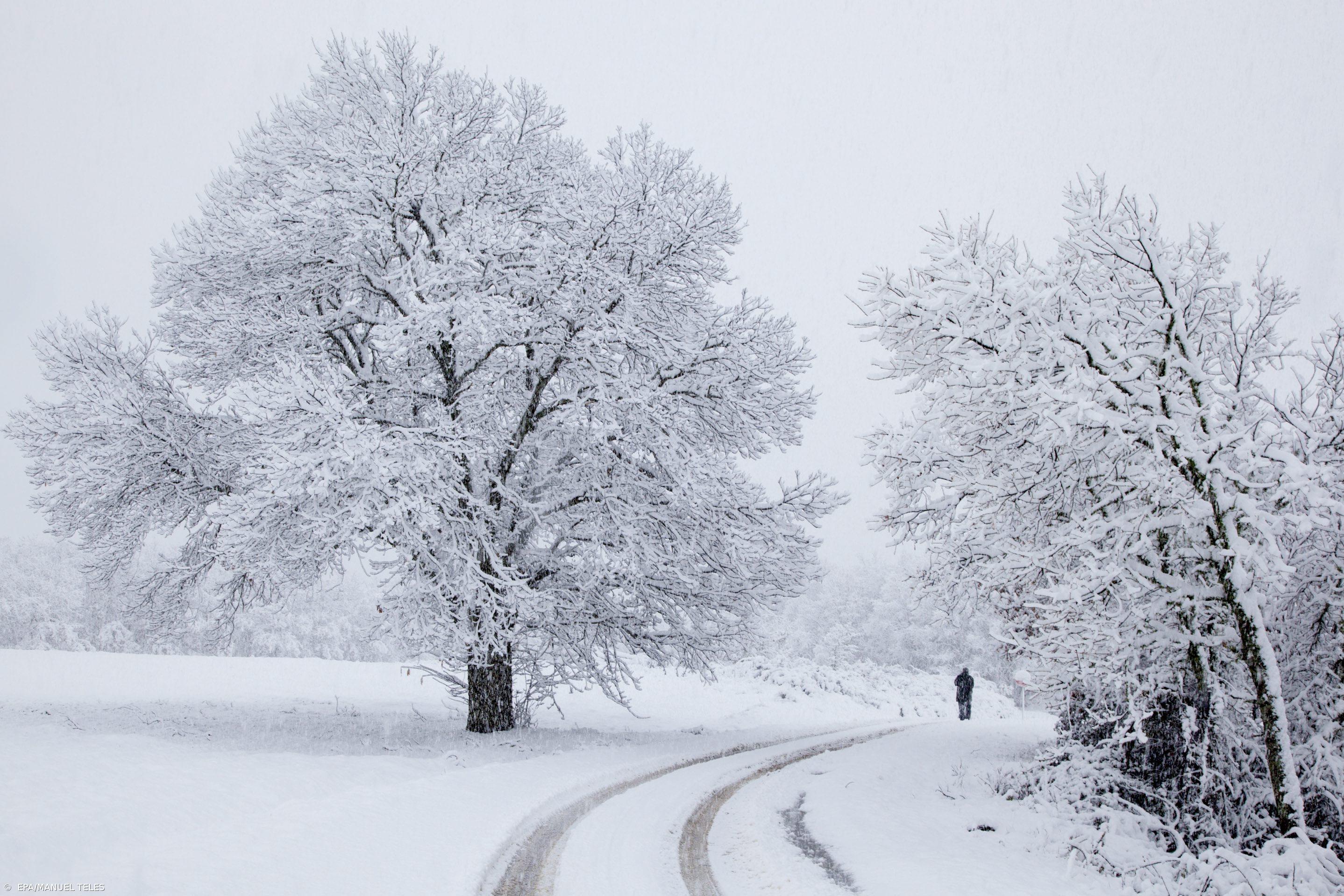 Primeira neve do ano com constrangimentos no trânsito em Bragança – Imagem 1