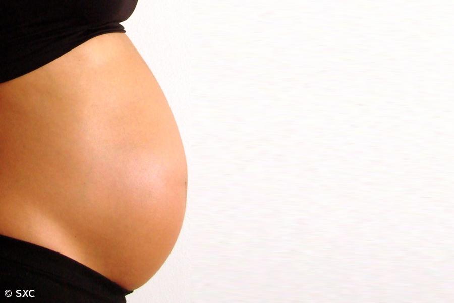 PSD pede audição à Autoridade para Condições de Trabalho sobre pressões à maternidade – Imagem 1