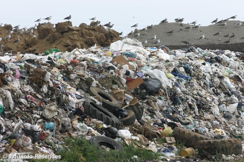  Quercus  apresenta queixa à Comissão Europeia  contra incineradora de São Miguel  – Imagem 1