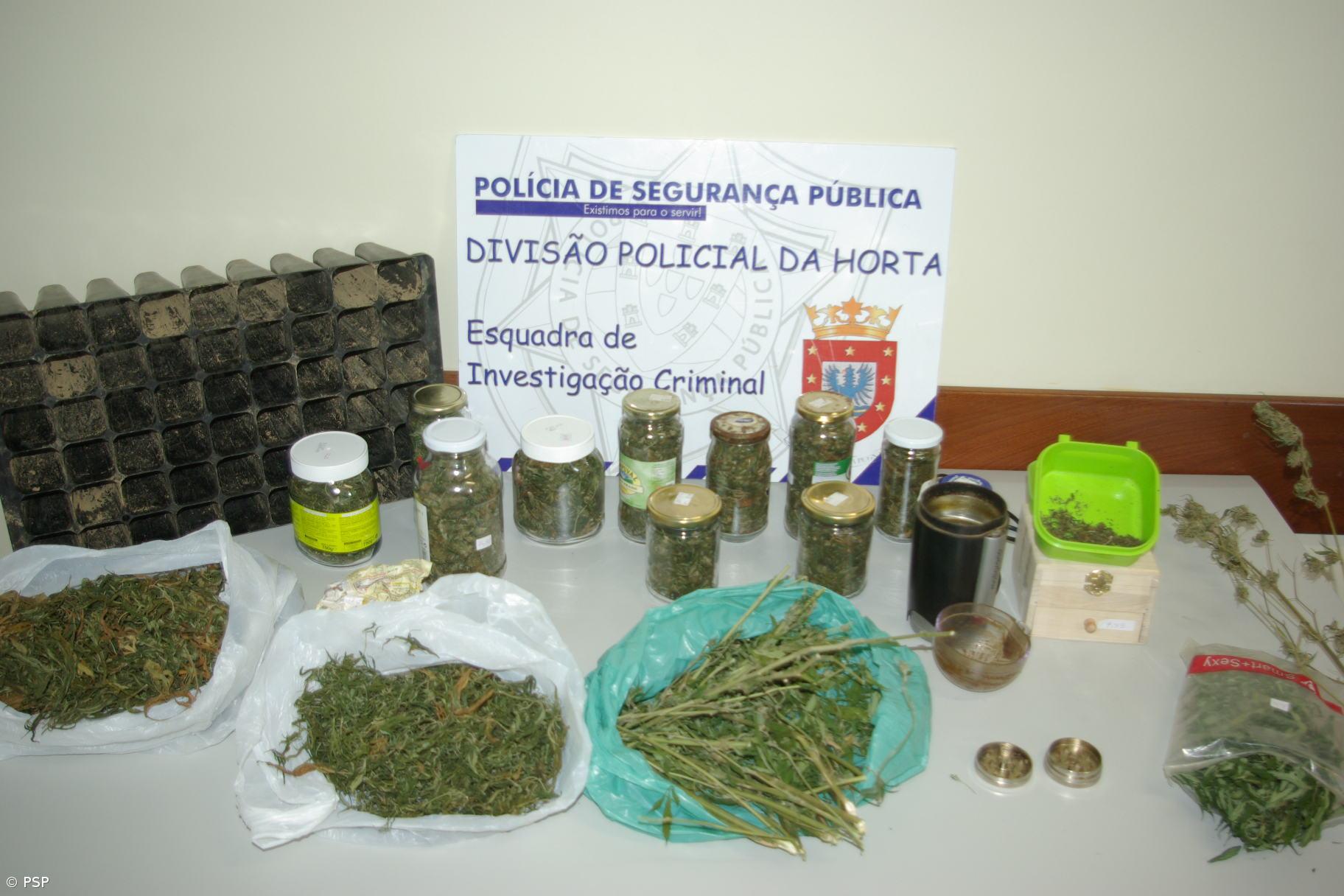 PSP detém dois suspeitos de tráfico e droga e apreende canábis – Imagem 1