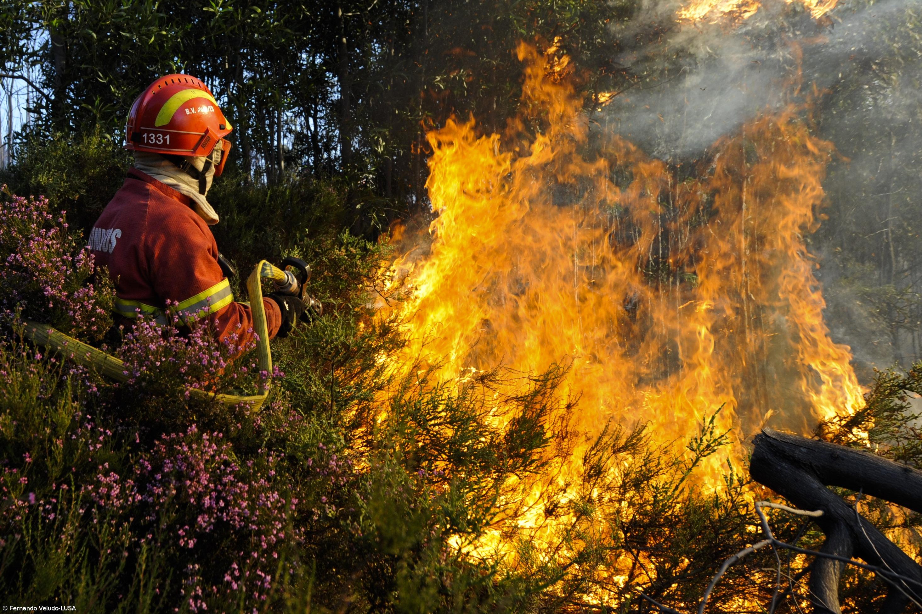 Governo dos Açores envia bombeiros para ajudar combate às chamas – Imagem 1