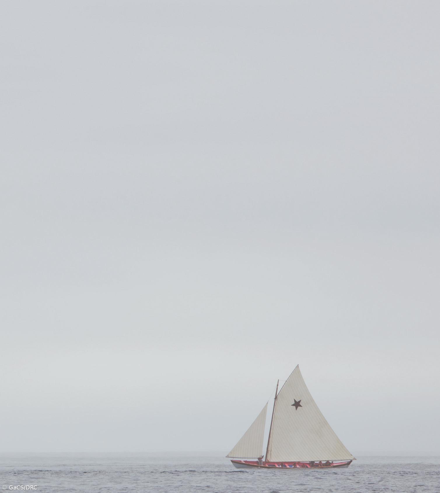 Museu do Pico promove projeção do filme "Baleias e Baleeiros" – Imagem 1