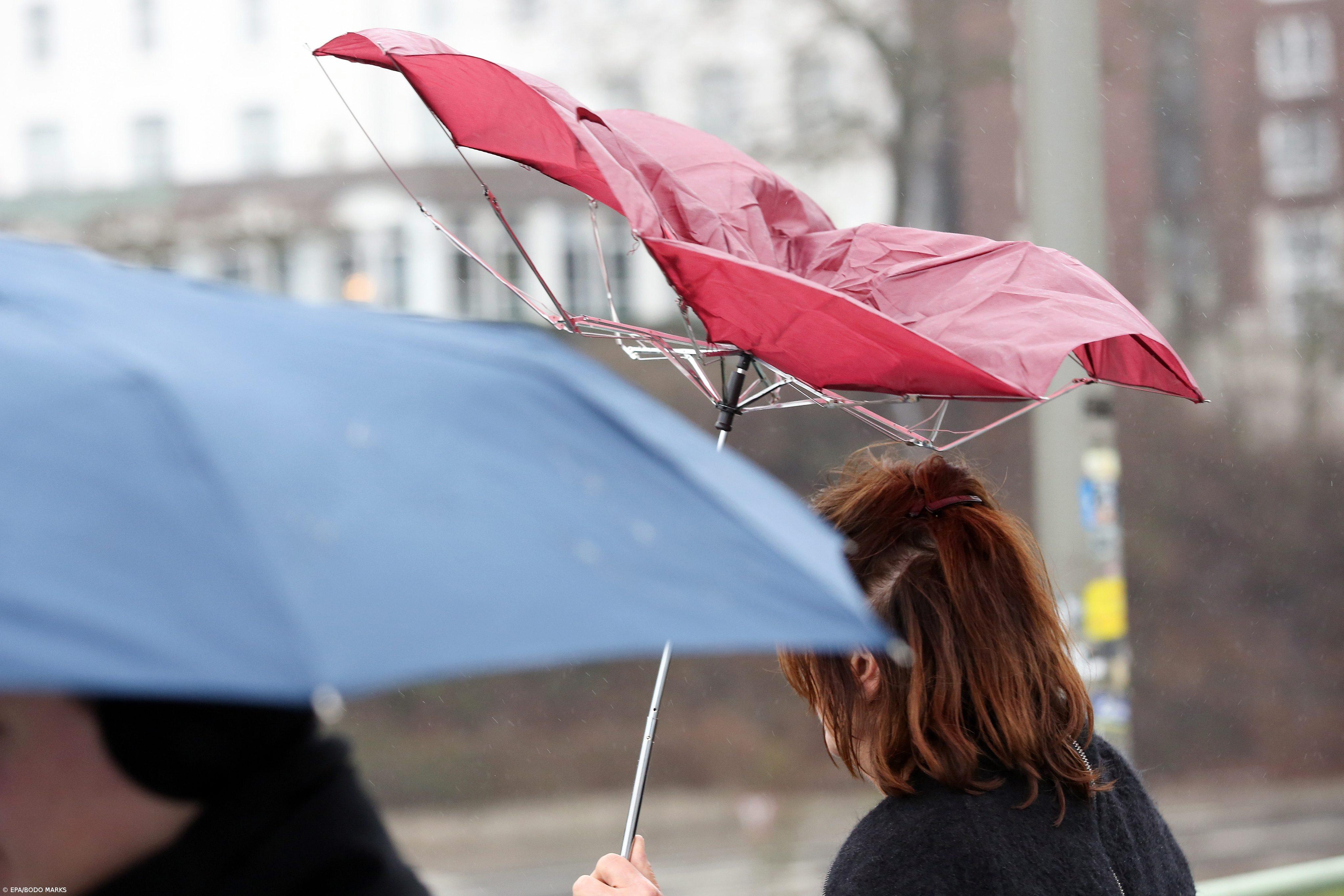 IPMA eleva para laranja aviso para cinco ilhas dos Açores devido à chuva – Imagem 1