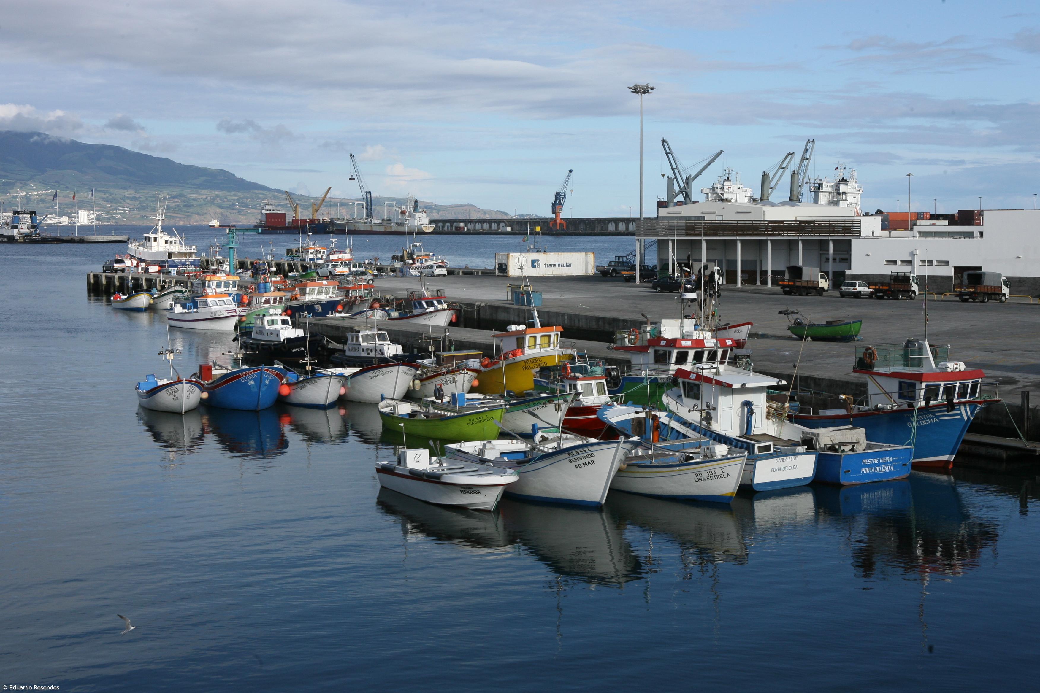Federação preocupada com "exclusão" dos pescadores de terra dos Açores nos apoios – Imagem 1