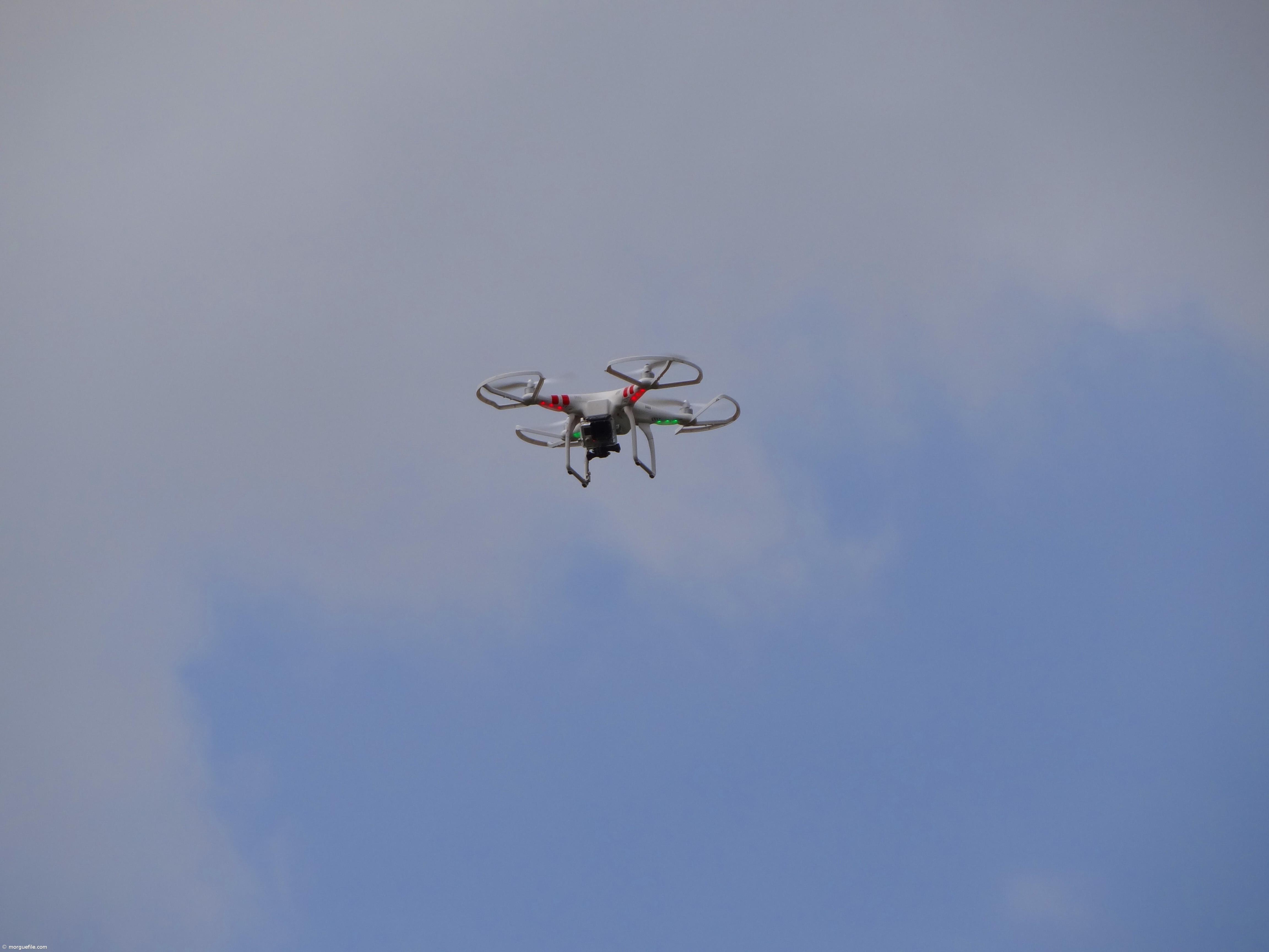 Drones e sondas entram na agricultura de tradição familiar no Alentejo – Imagem 1