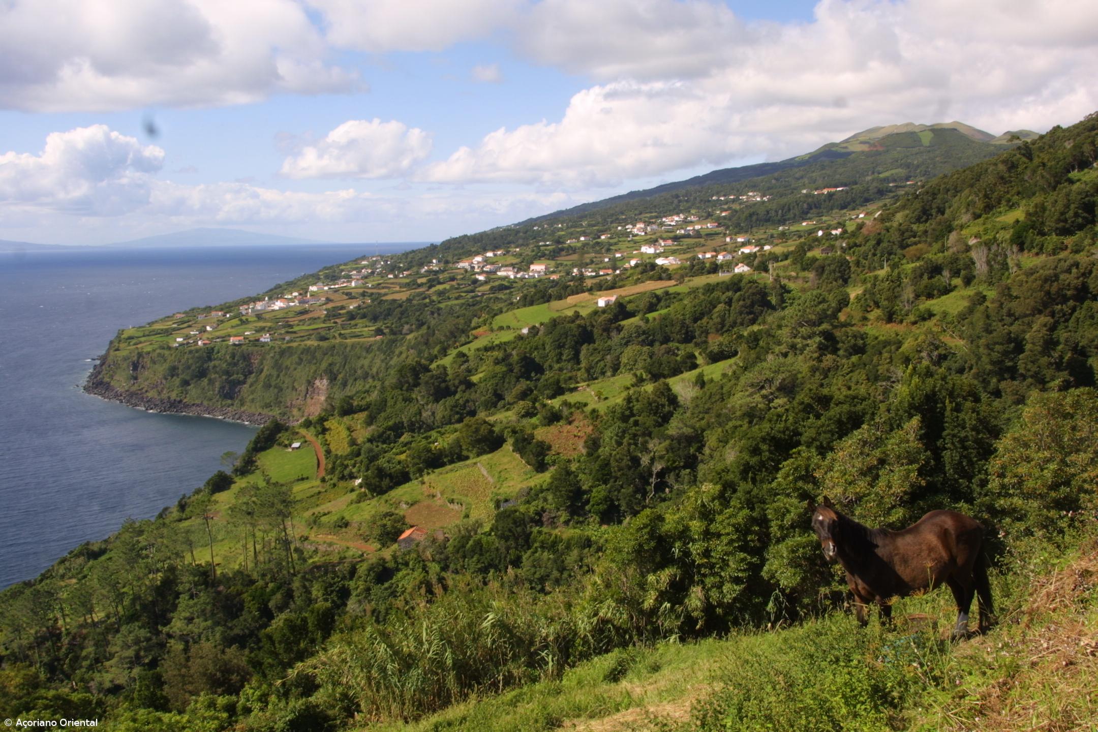 São Jorge esteve 'às escuras' durante mais de uma hora – Imagem 1