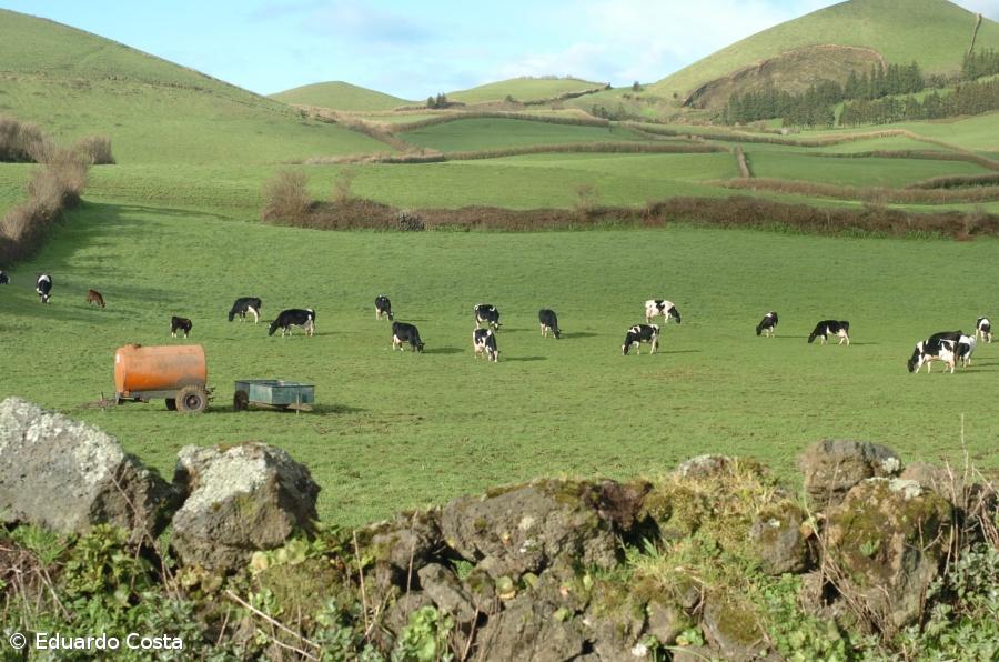 Portugal 2020 com 53% de execução mas com sete programas abaixo da metade – Imagem 1