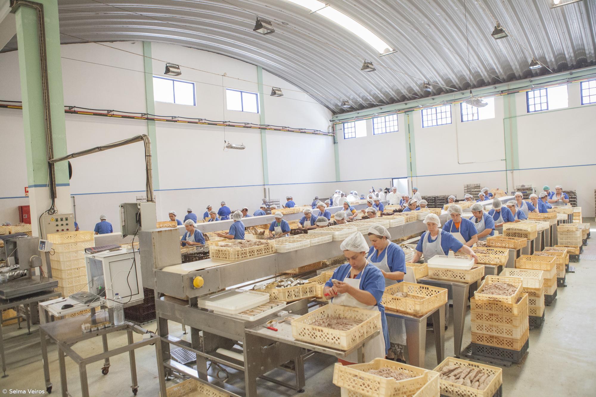 Pescadores de São Jorge querem salvaguarda de postos de trabalho na fábrica de atum – Imagem 1