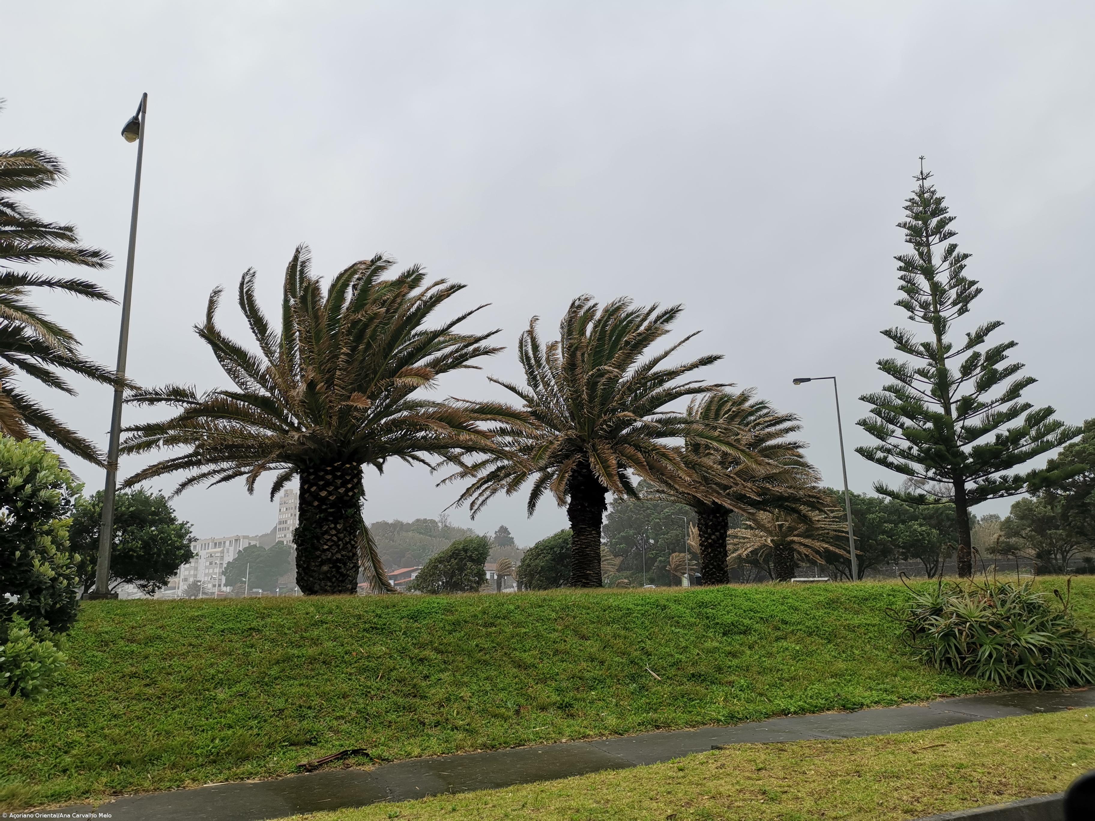 Proteção Civil dos Açores alerta para previsões de chuva e vento – Imagem 1