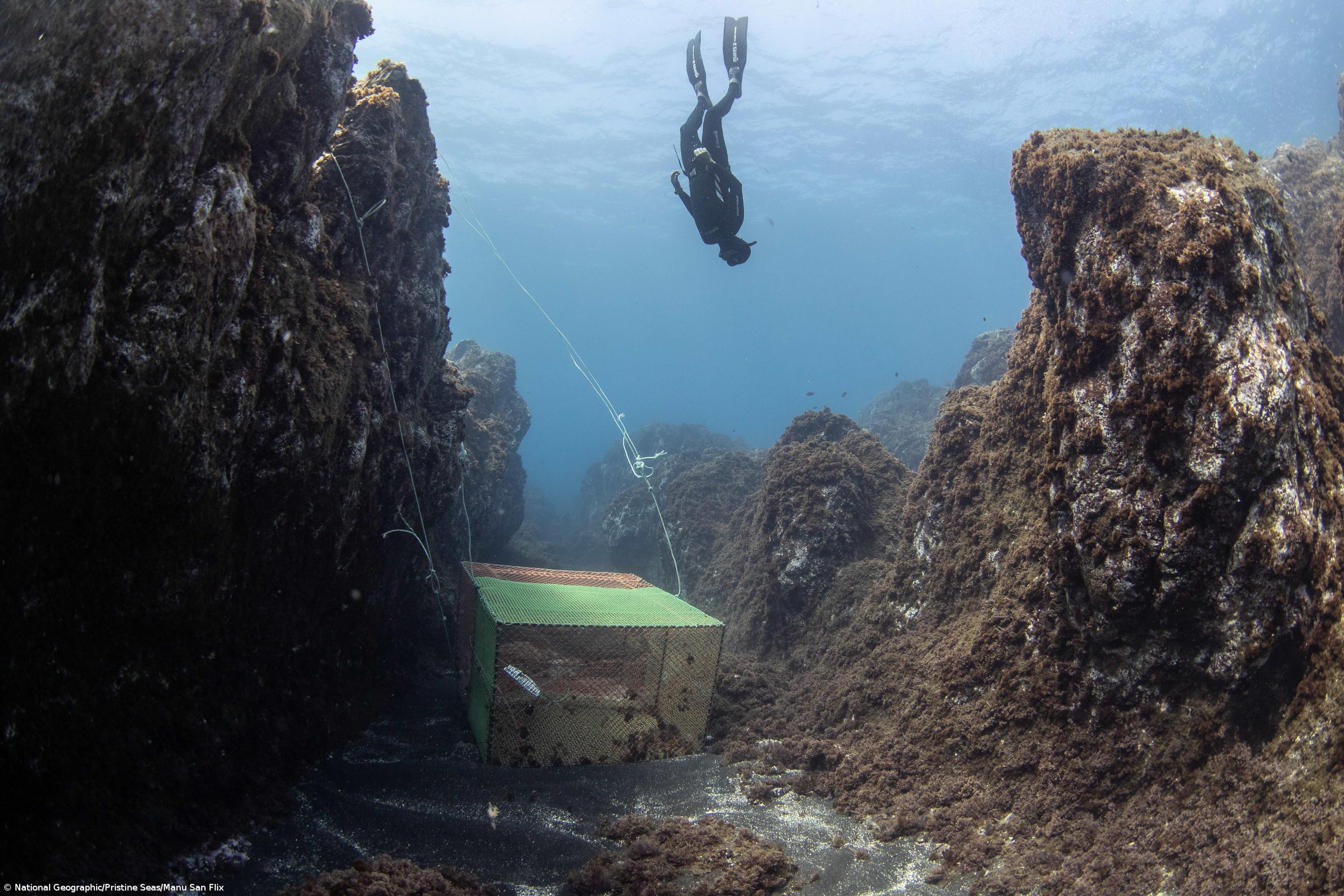 "Blue Azores" vai aumentar área marinha protegida nos Açores – Imagem 3