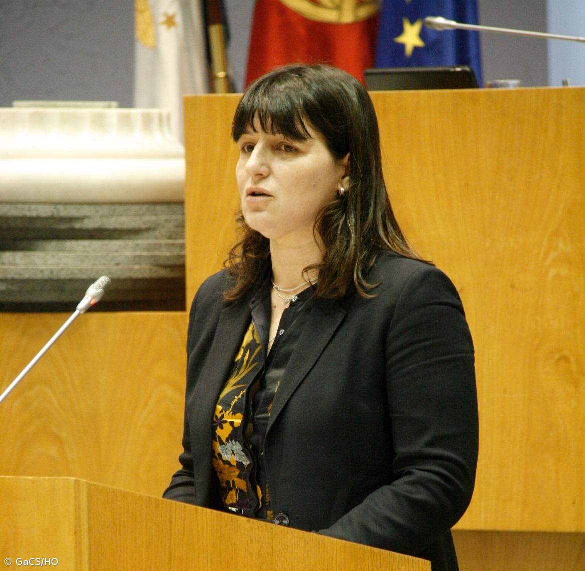 Governo dos Açores diz que mobilidade dos açorianos melhorou, oposição contesta – Imagem 1