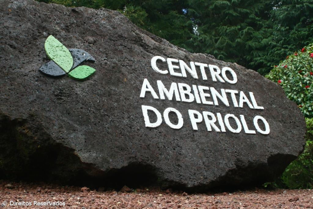 Atividade do Centro do Priolo em risco por falta de financiamento – Imagem 1