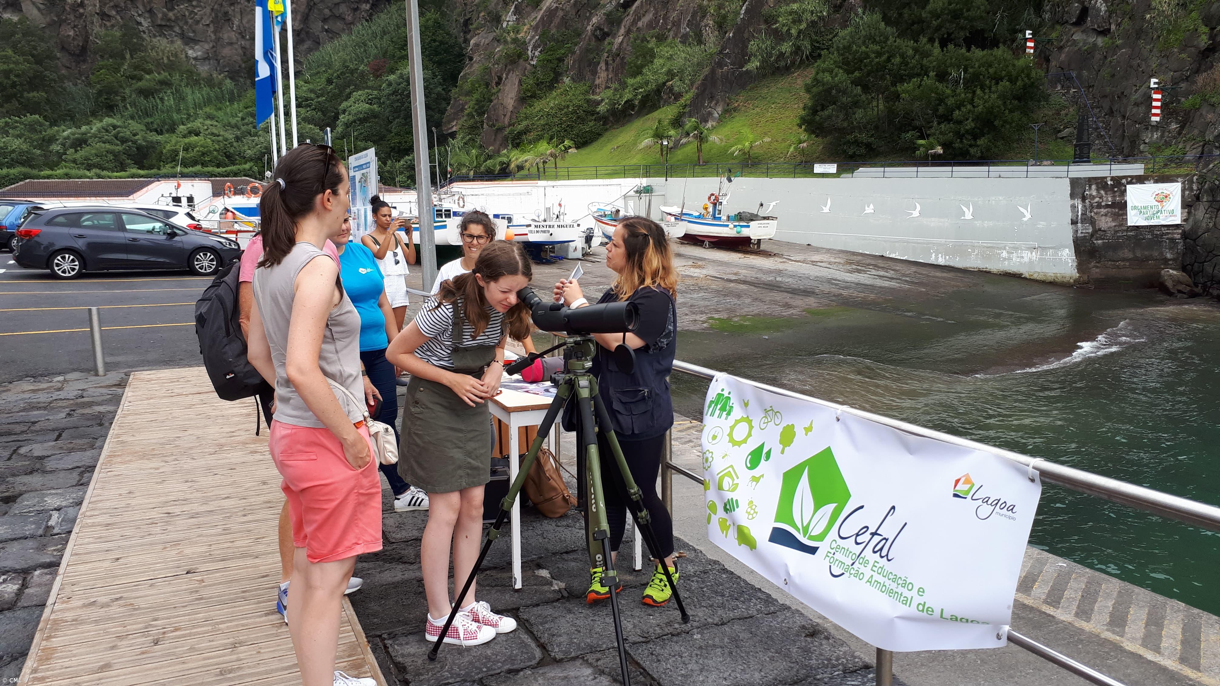 Birdwatching na zona balnear da Caloura – Imagem 1