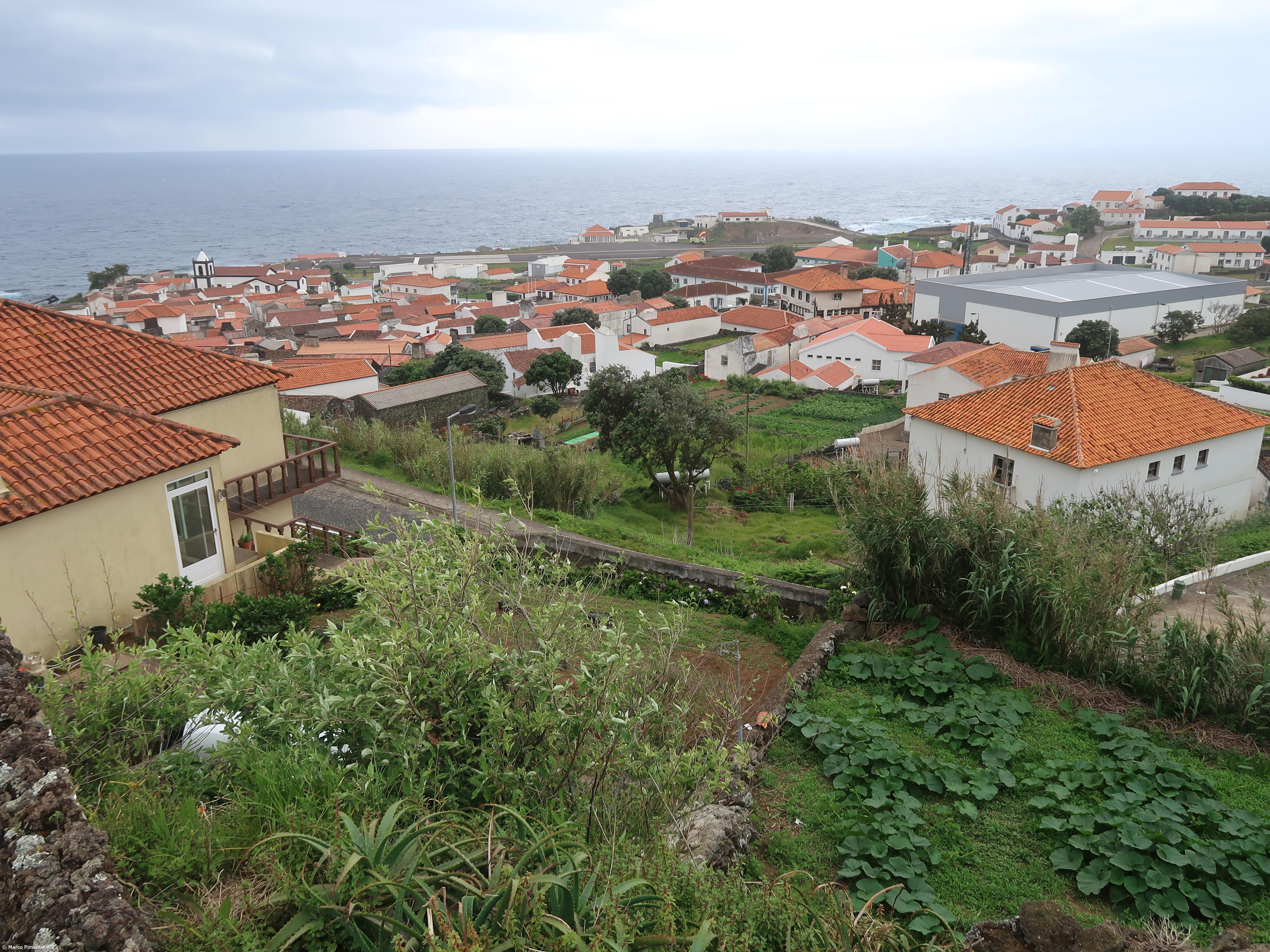 Ilha do Corvo apaga iluminação pública até 08 de novembro para salvar aves marinhas – Imagem 1