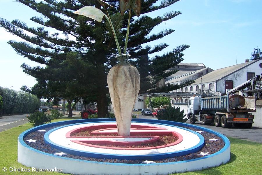 Autoridade da Concorrência viabiliza compra da SINAGA  – Imagem 1