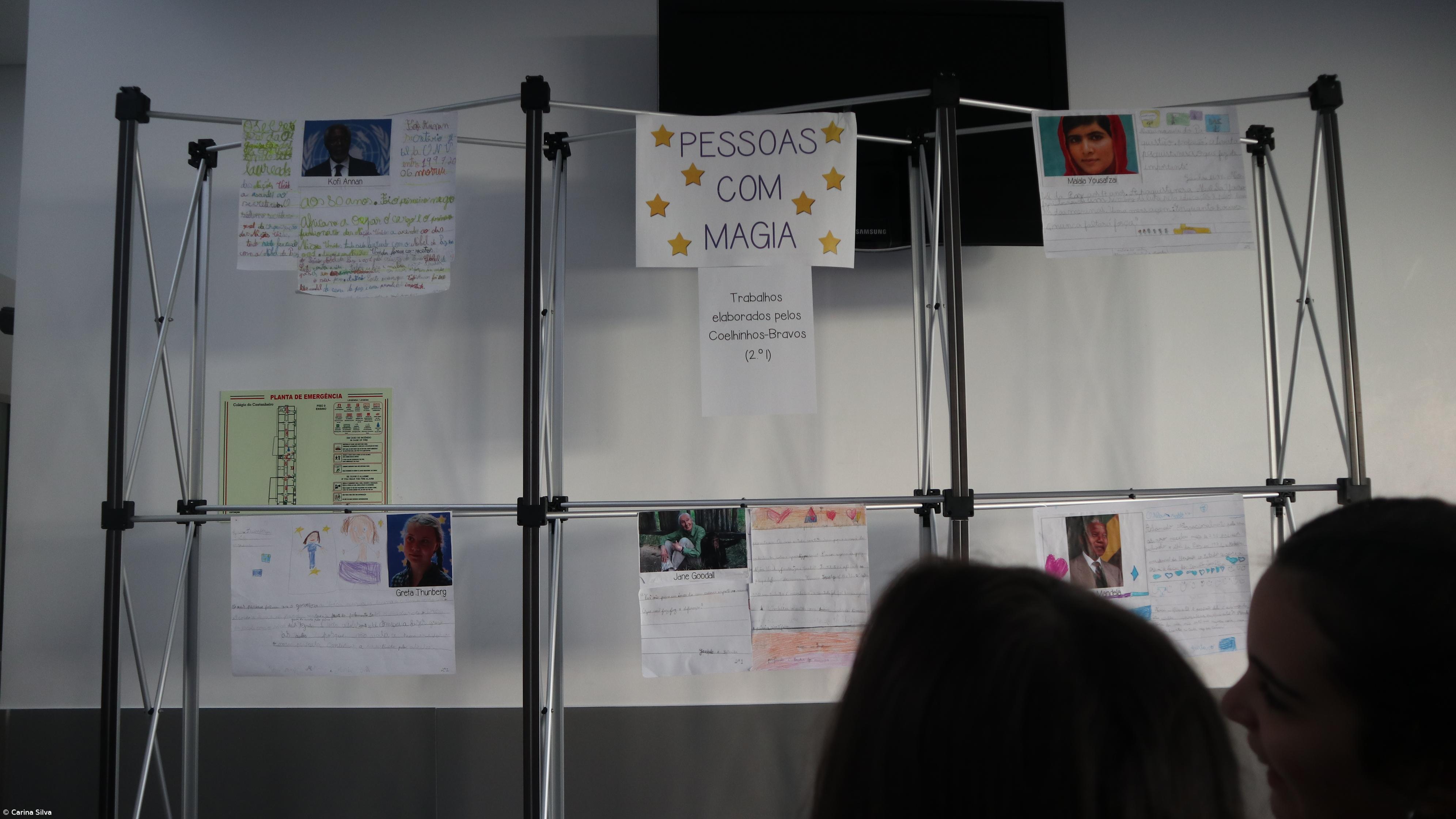 Dia da Autonomia e Flexibilidade Curricular - Ensino Básico - 24 janeiro 2020 – Imagem 3