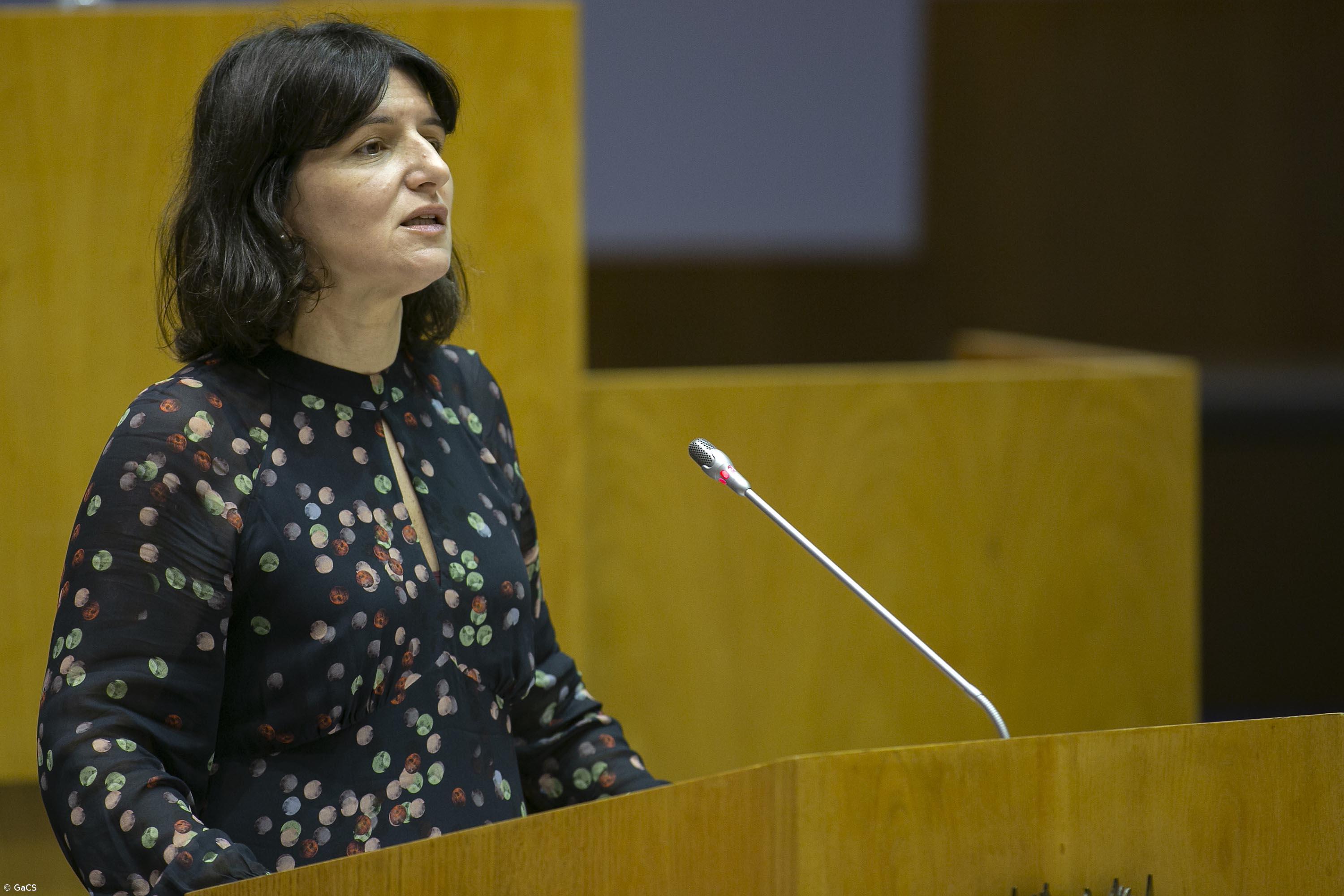 Governo prepara pacote de medidas de apoio às empresas açorianas que utilizam os portos comerciais da Região   – Imagem 1