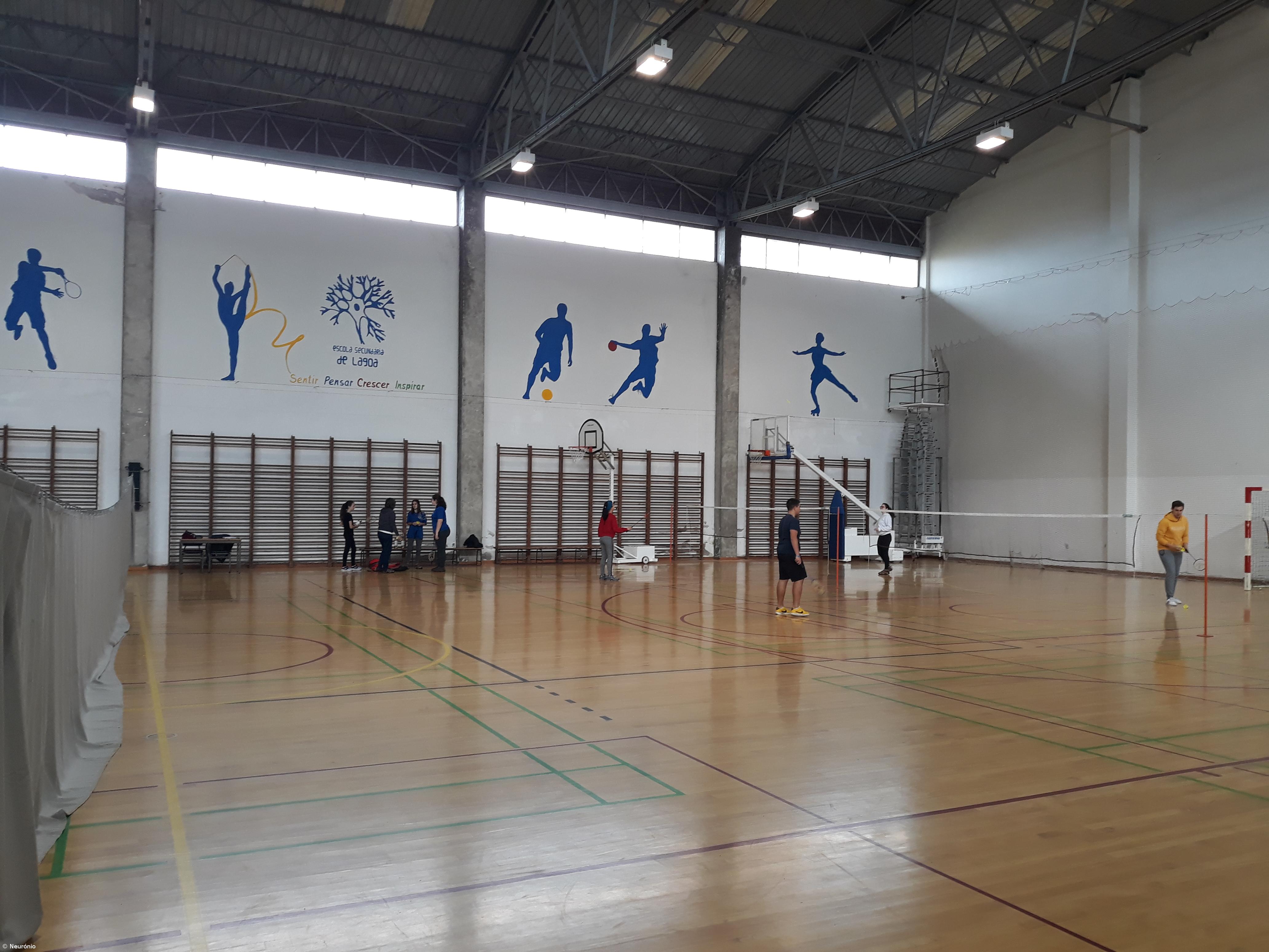 Ensino Especializado em Desporto: aposta ganha! – Imagem 1