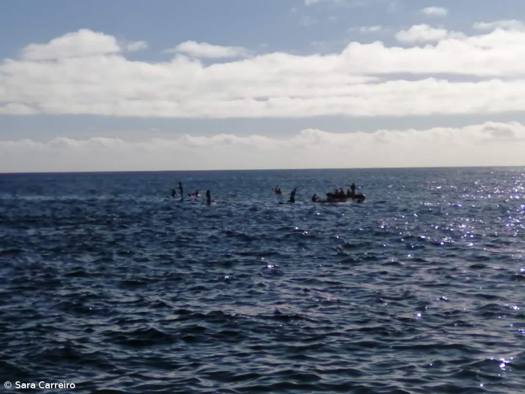 Nautica0: como promover as atividades náuticas em Parceria – Imagem 5