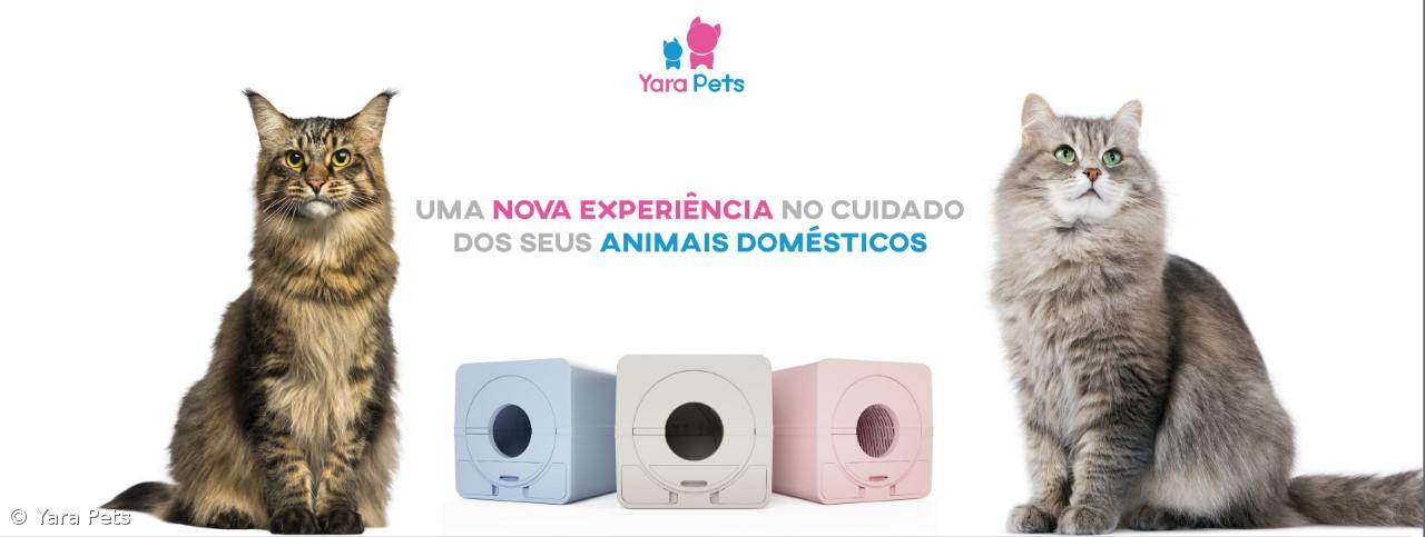 Aqui (nem se vai notar que) Há Gato – Imagem 1