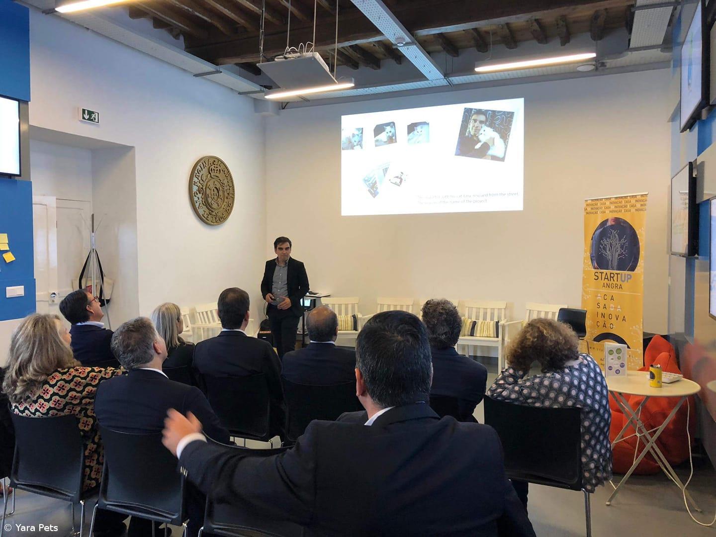 Aqui (nem se vai notar que) Há Gato – Imagem 2