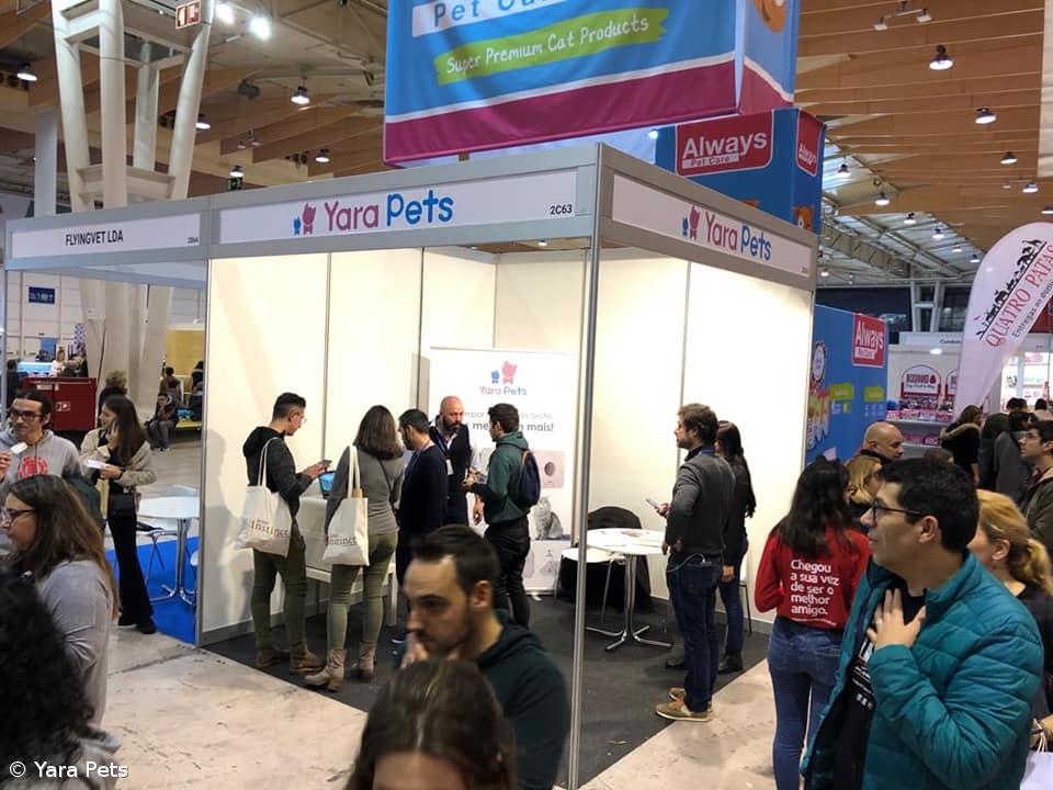 Aqui (nem se vai notar que) Há Gato – Imagem 3