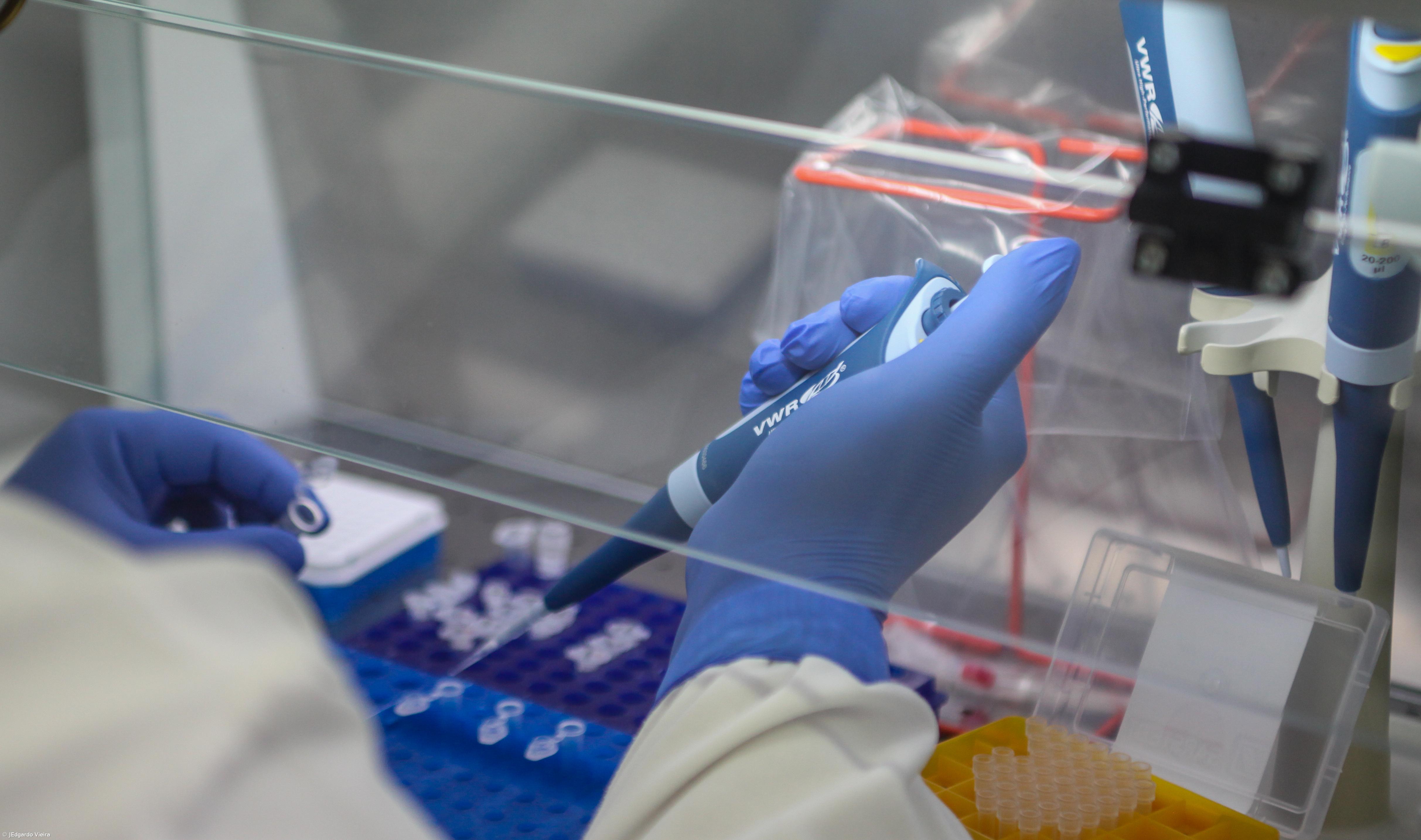 Açores registam 41 novos casos e 28 recuperações – Imagem 1