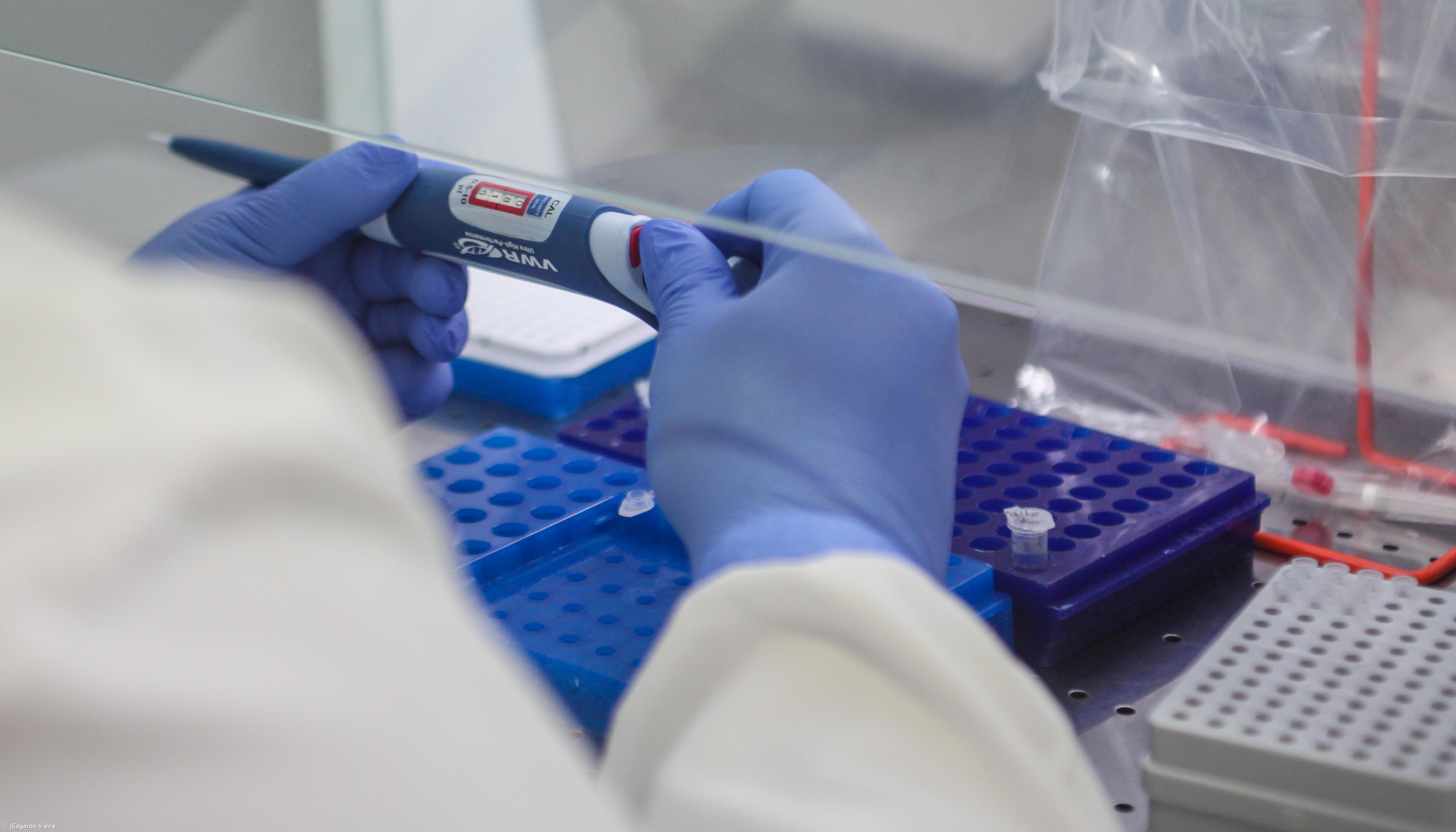 Covid-19: Vasco da Gama anuncia que tem 16 futebolistas infetados – Imagem 1