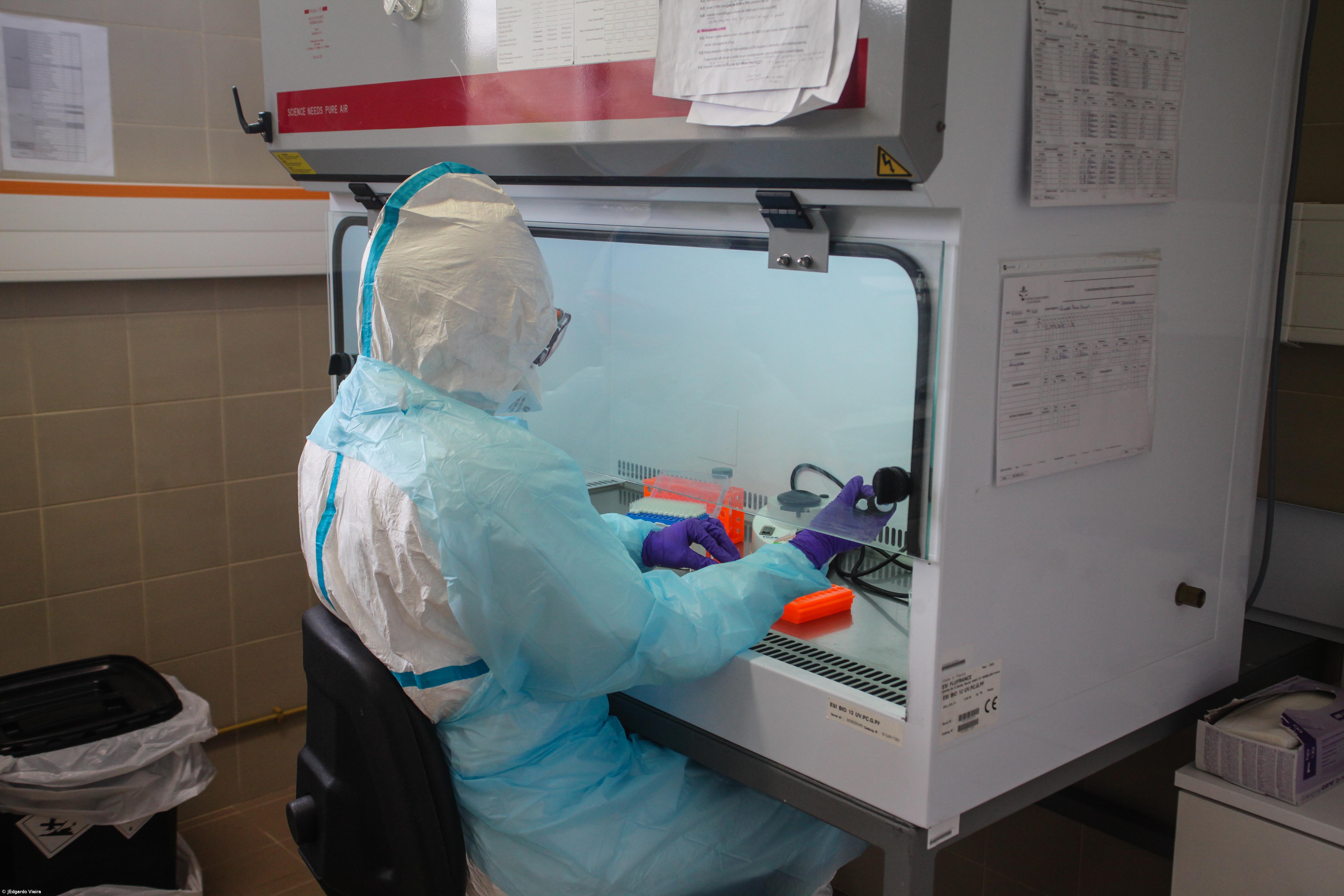 Açores voltam a registar um caso positivo de Covid-19 na ilha Terceira – Imagem 1