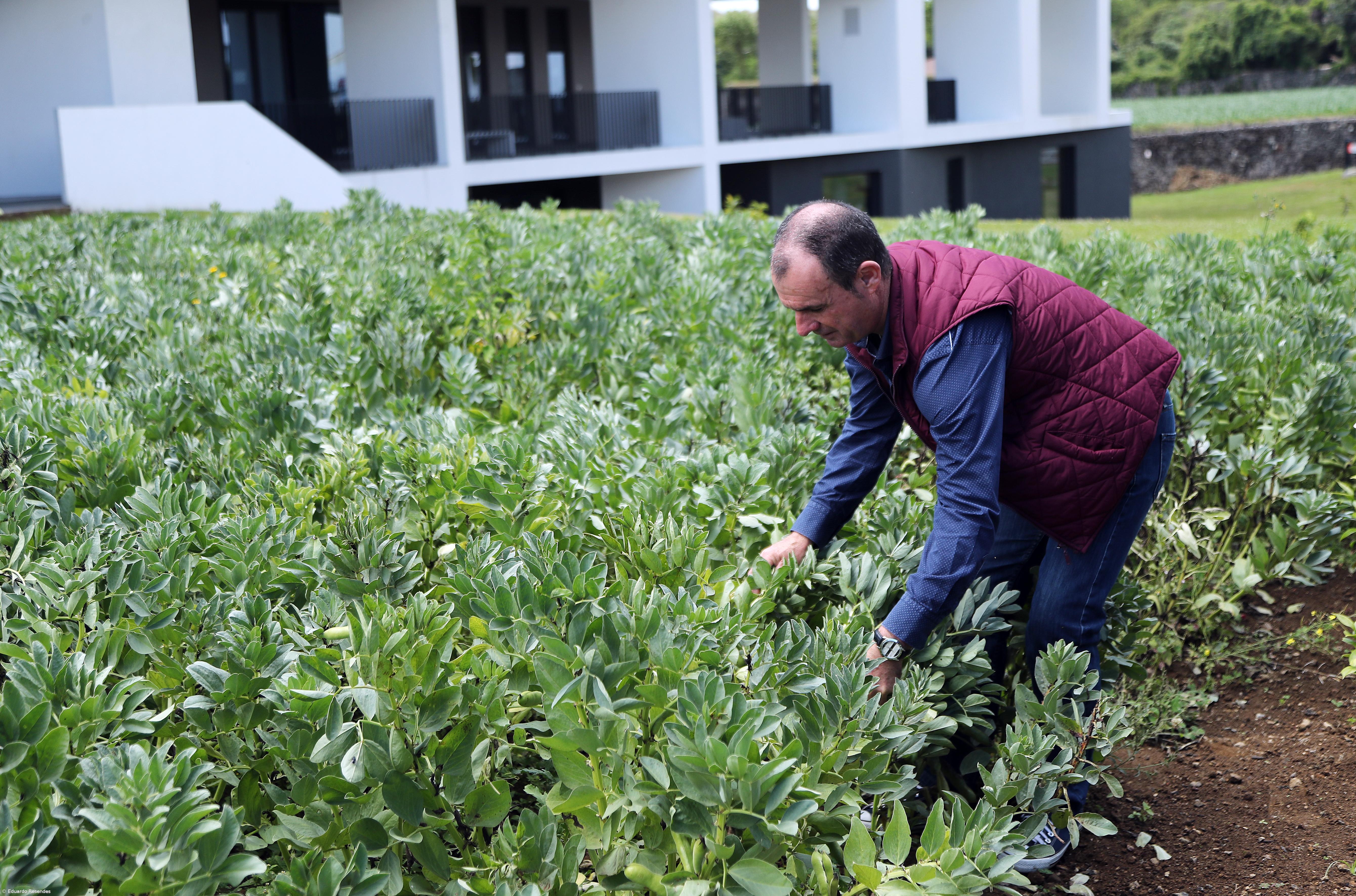 Projeto reergue vidas a partir do trabalho na terra – Imagem 2