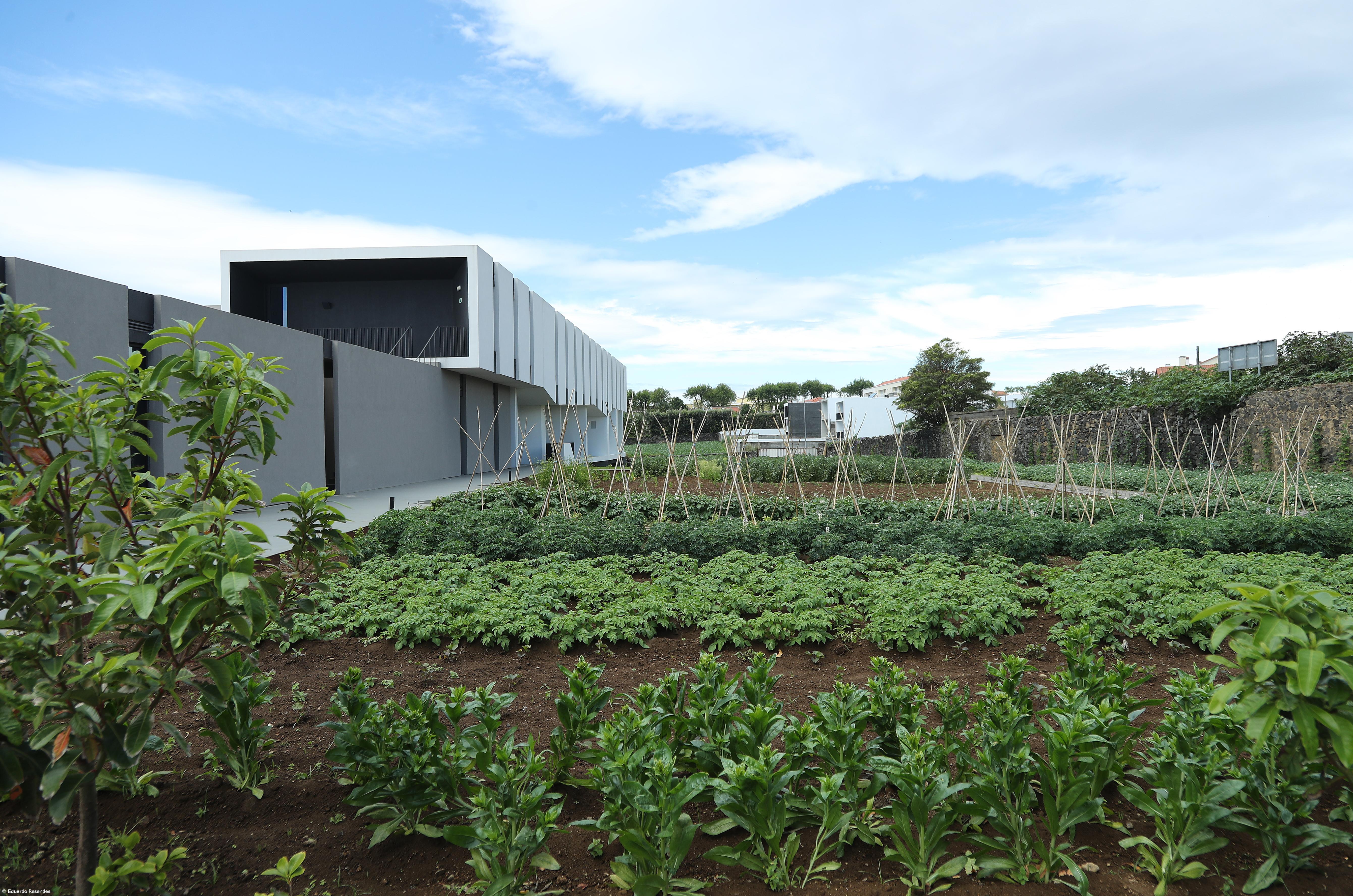 Projeto reergue vidas a partir do trabalho na terra – Imagem 3