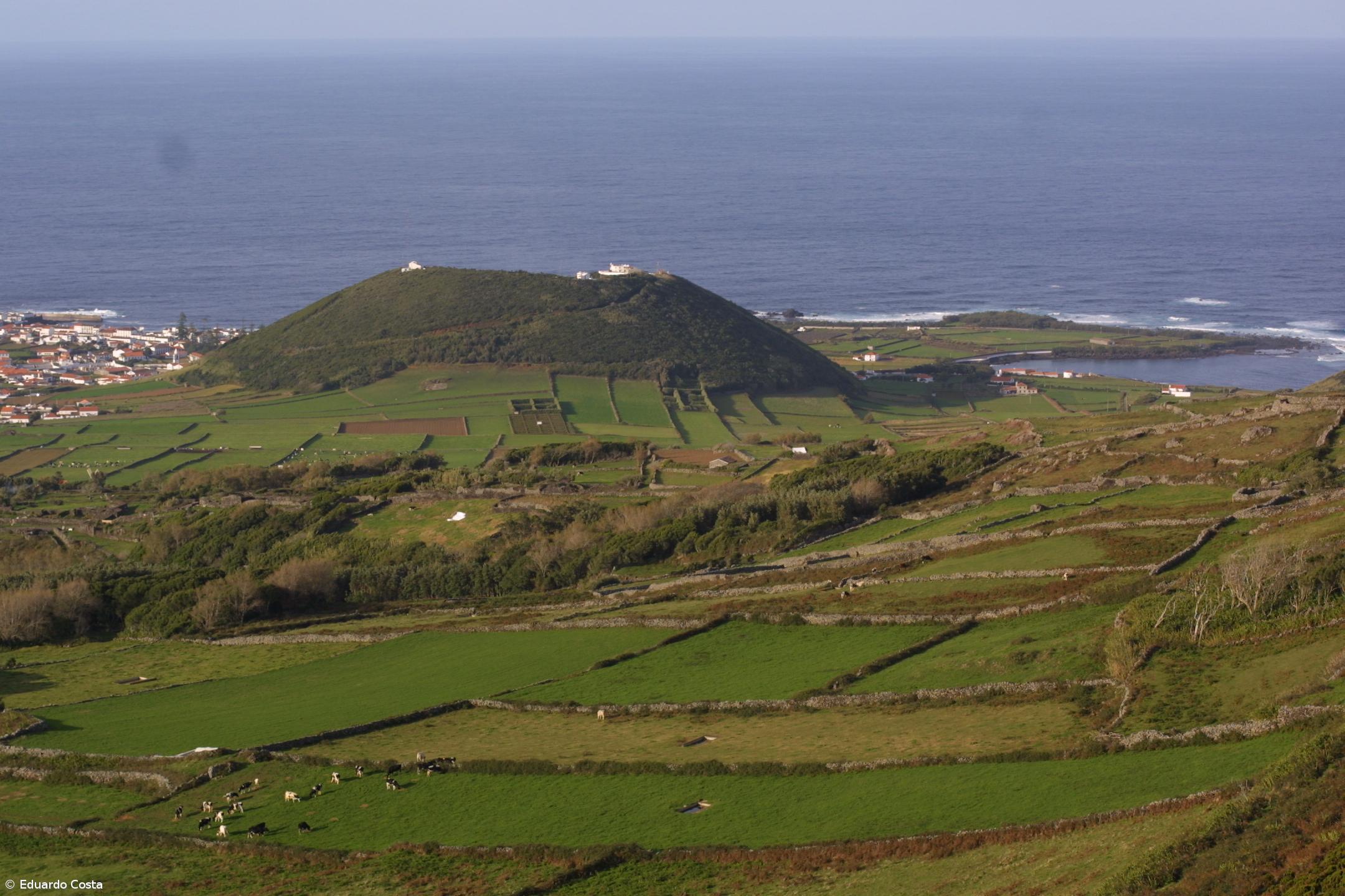 Suspeita de doença nos coelhos leva à proibição da caça na Graciosa – Imagem 1