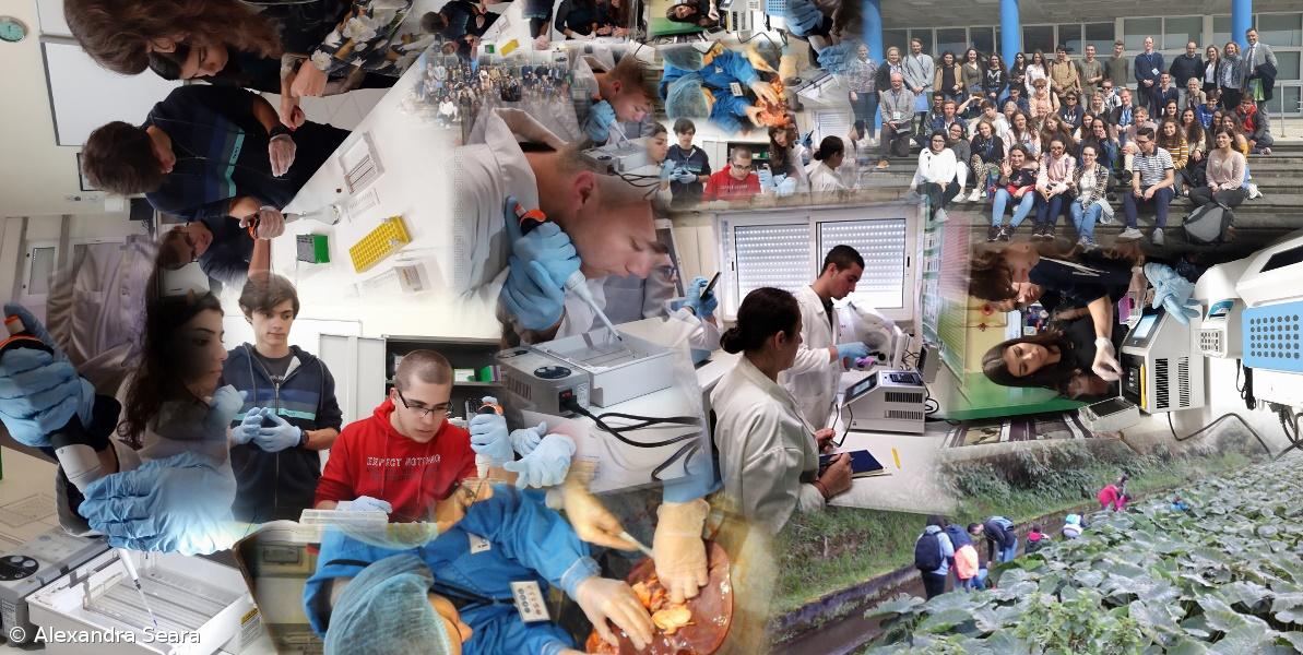 Trabalho em Ciência Biomolecular na ESLagoa – Imagem 1