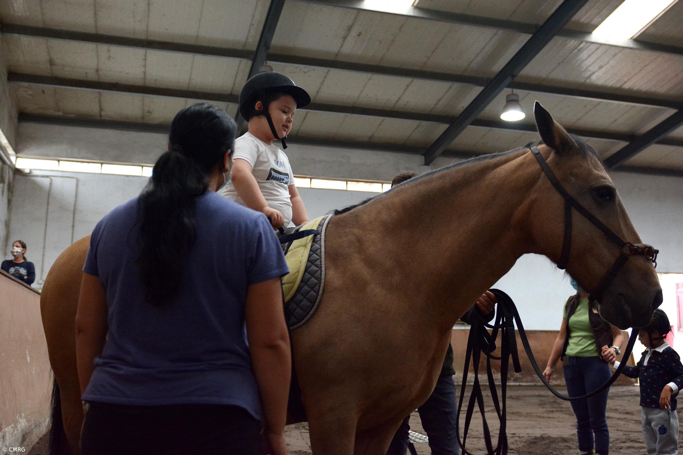 Câmara da Ribeira Grande mantém parceria com Associação Equestre de São Miguel – Imagem 2